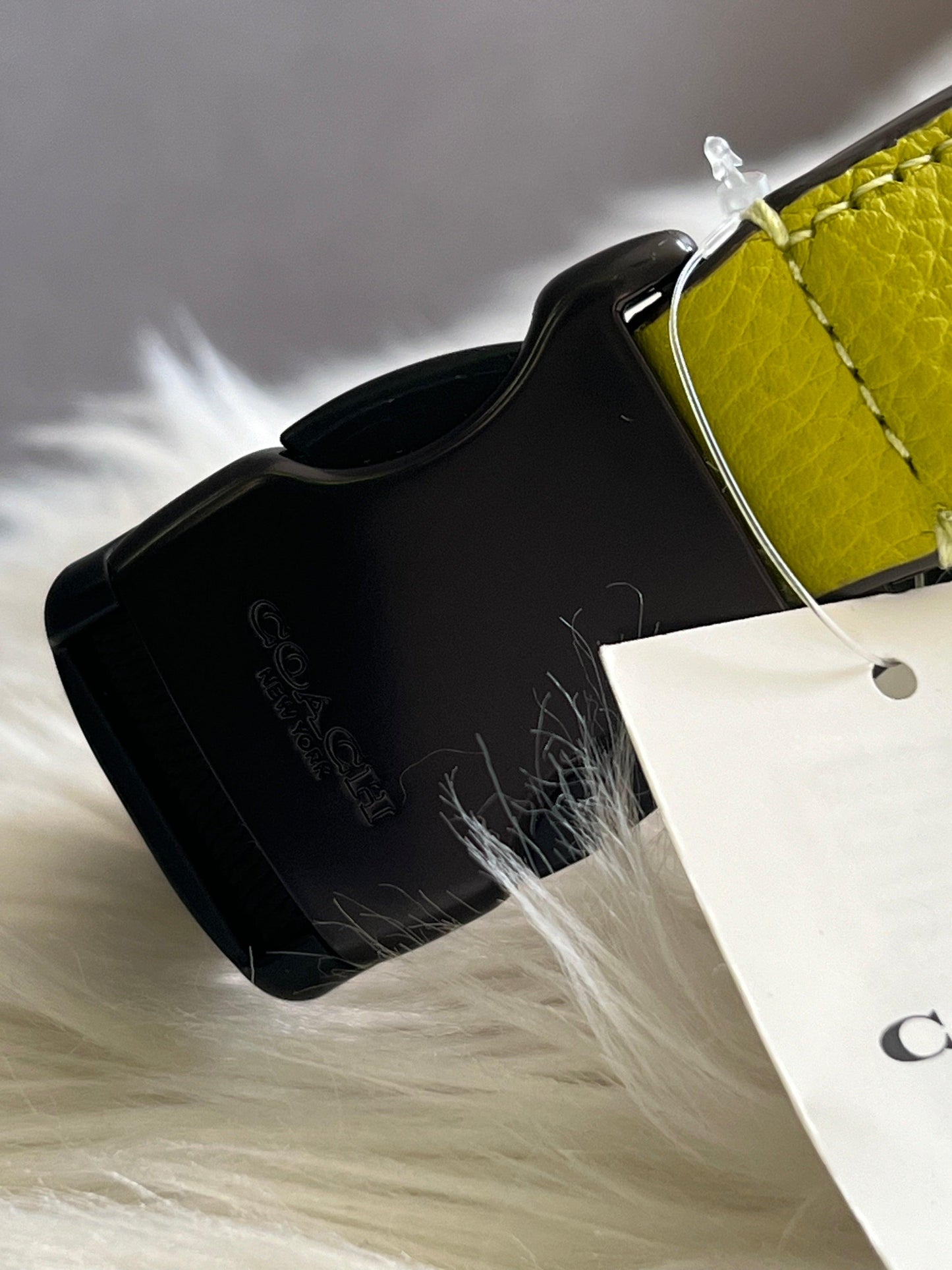 Coach Charter Belt Bag 7