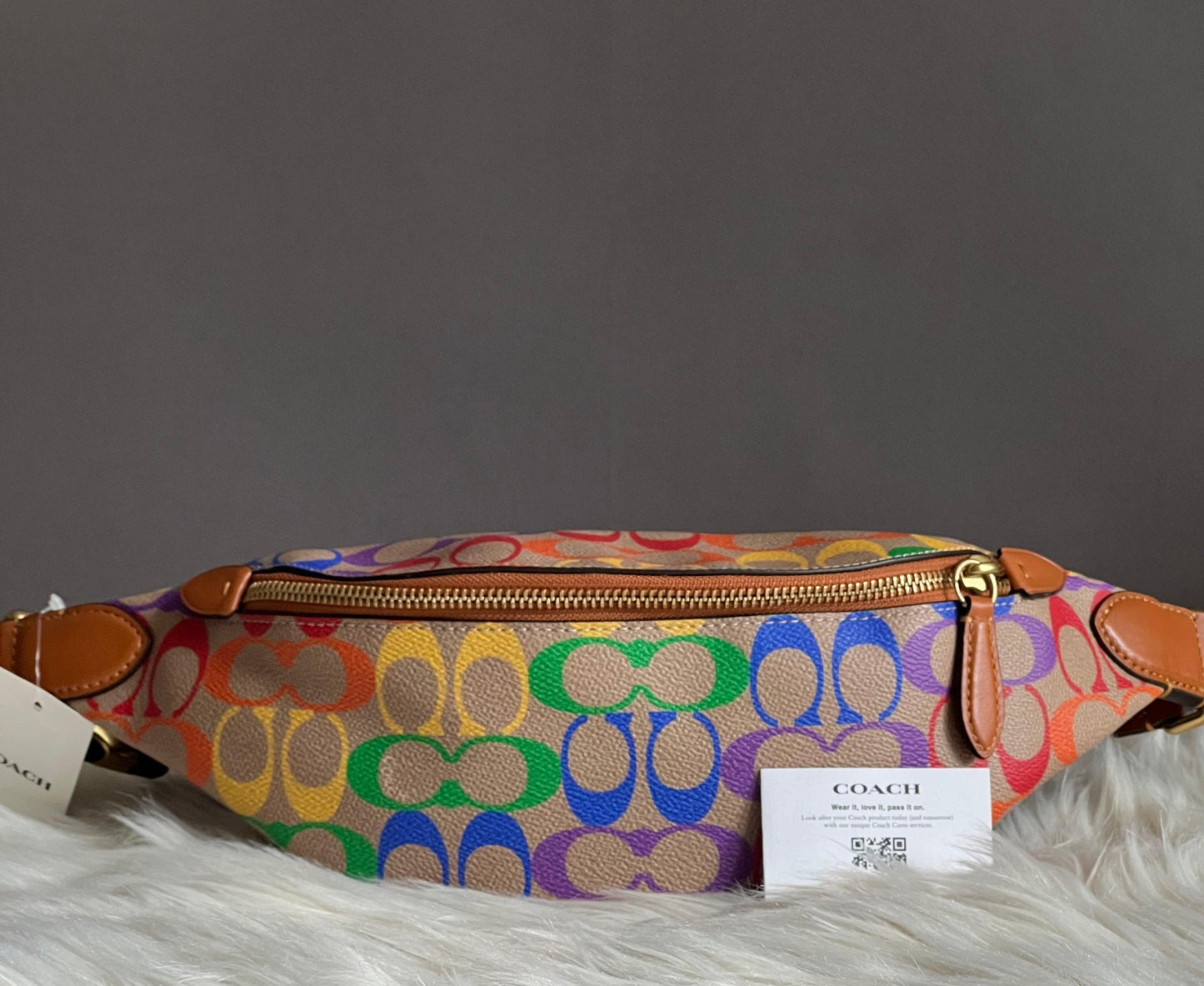 Coach Charter Belt Bag 7 in Rainbow Signature Canvas