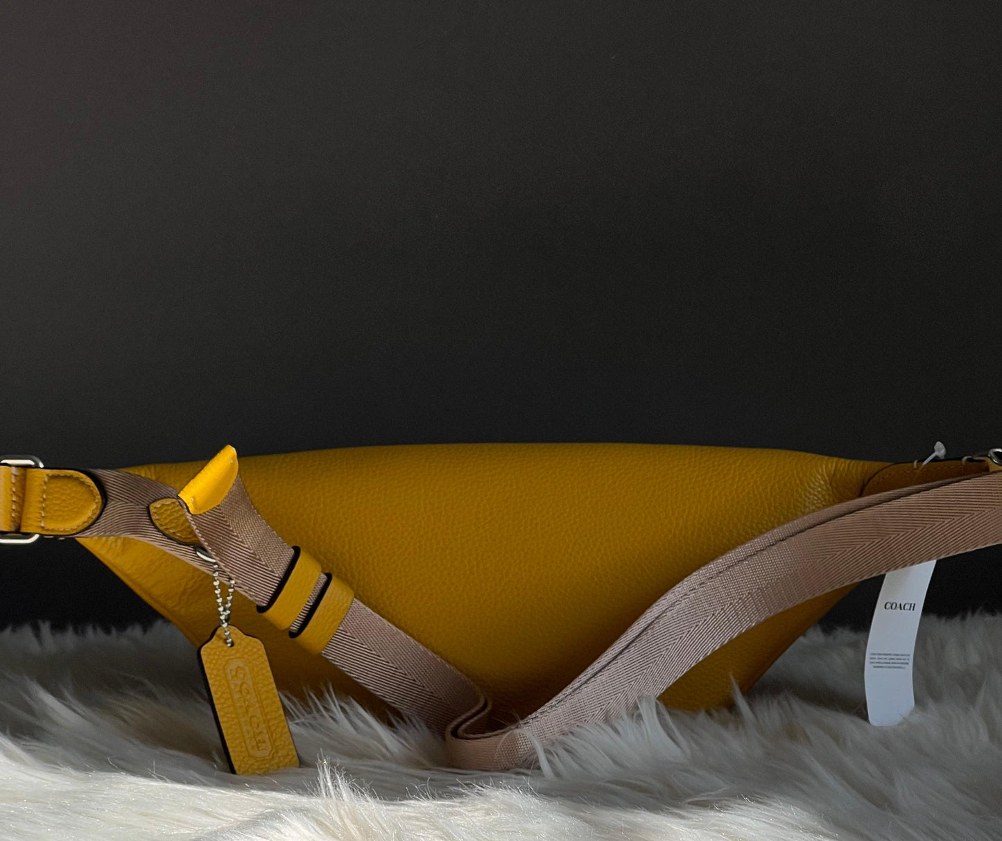 Coach Charter Belt Bag 7