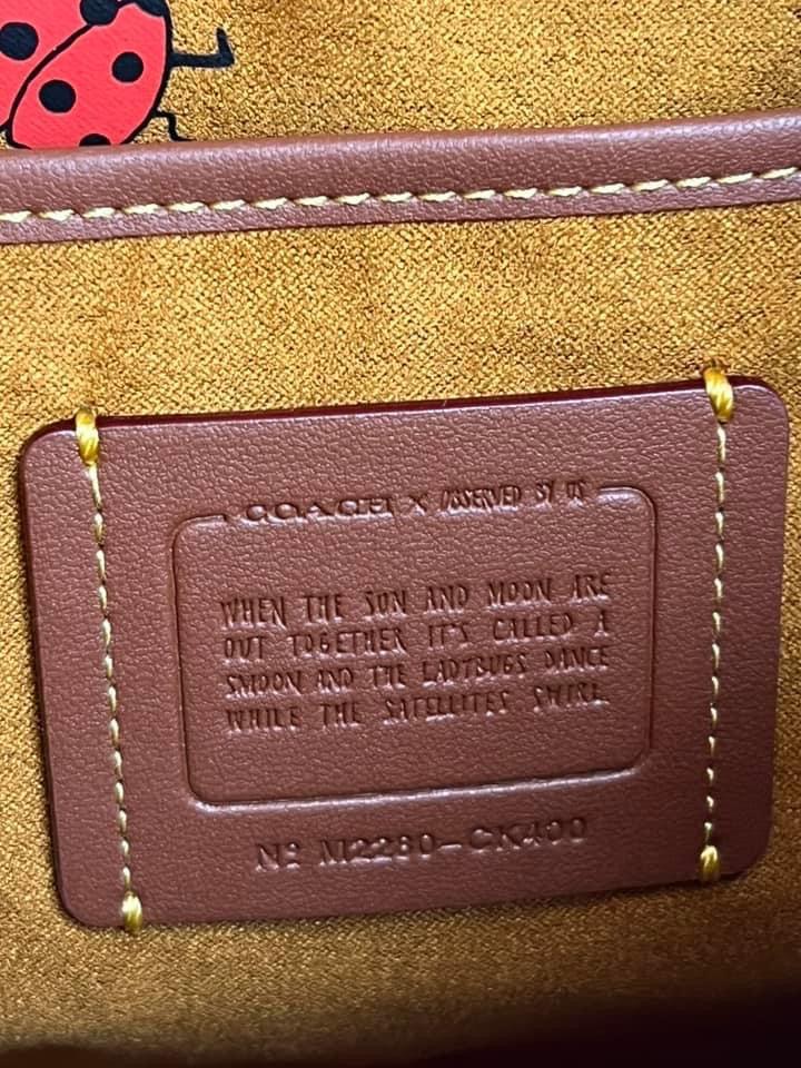 Coach X Observed By Us Riya Backpack 21 in Colorblock