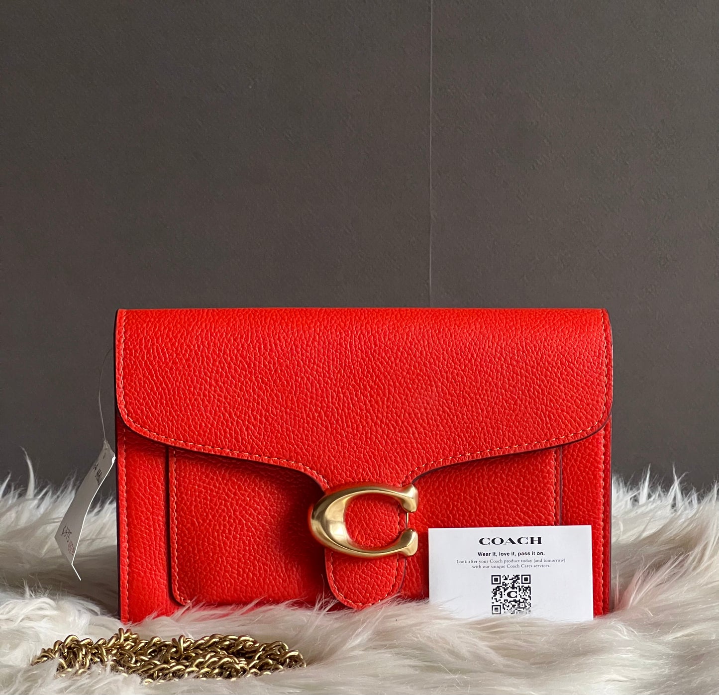 Coach Tabby Chain Clutch