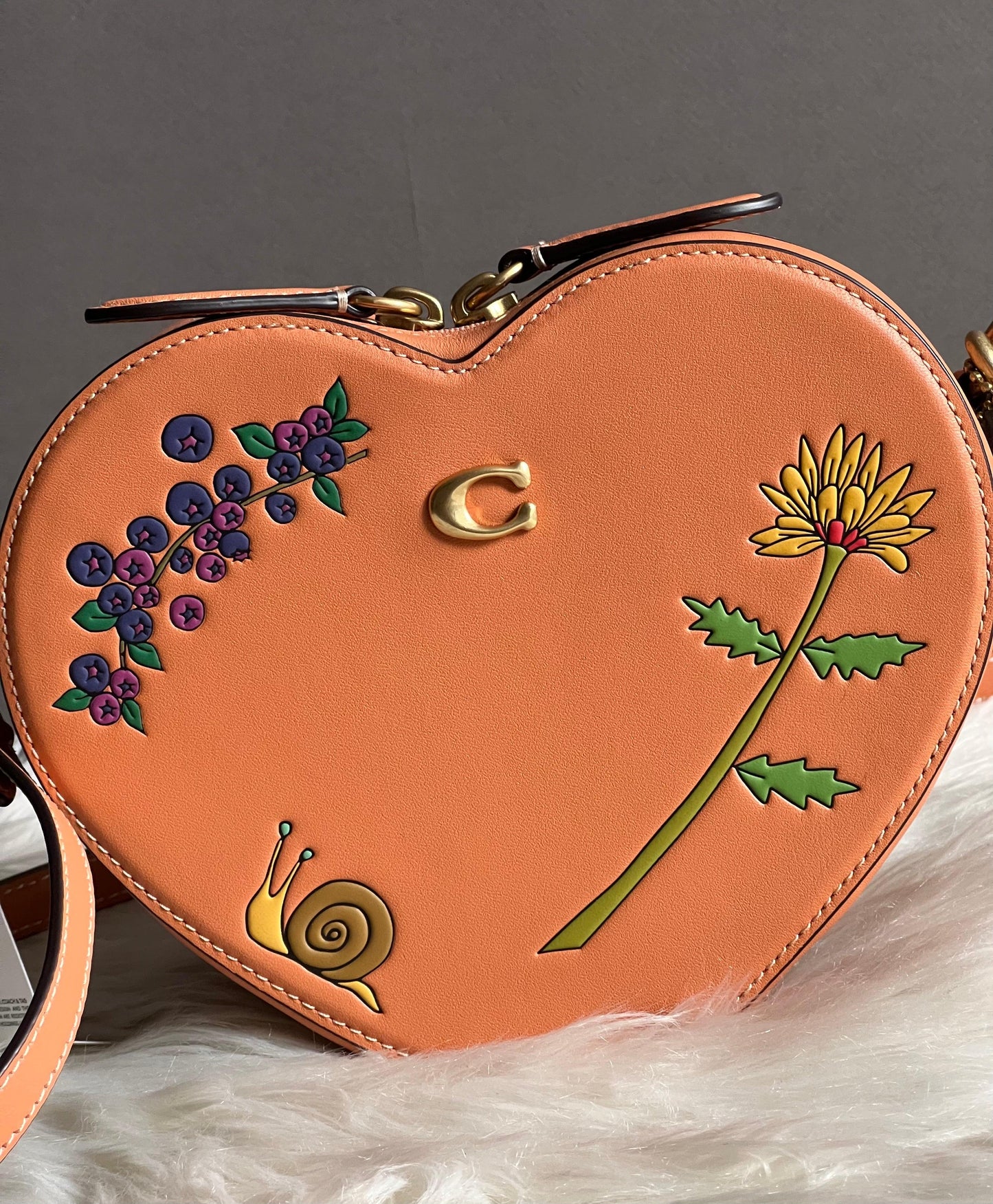 Coach X Observed By Us Heart Crossbody