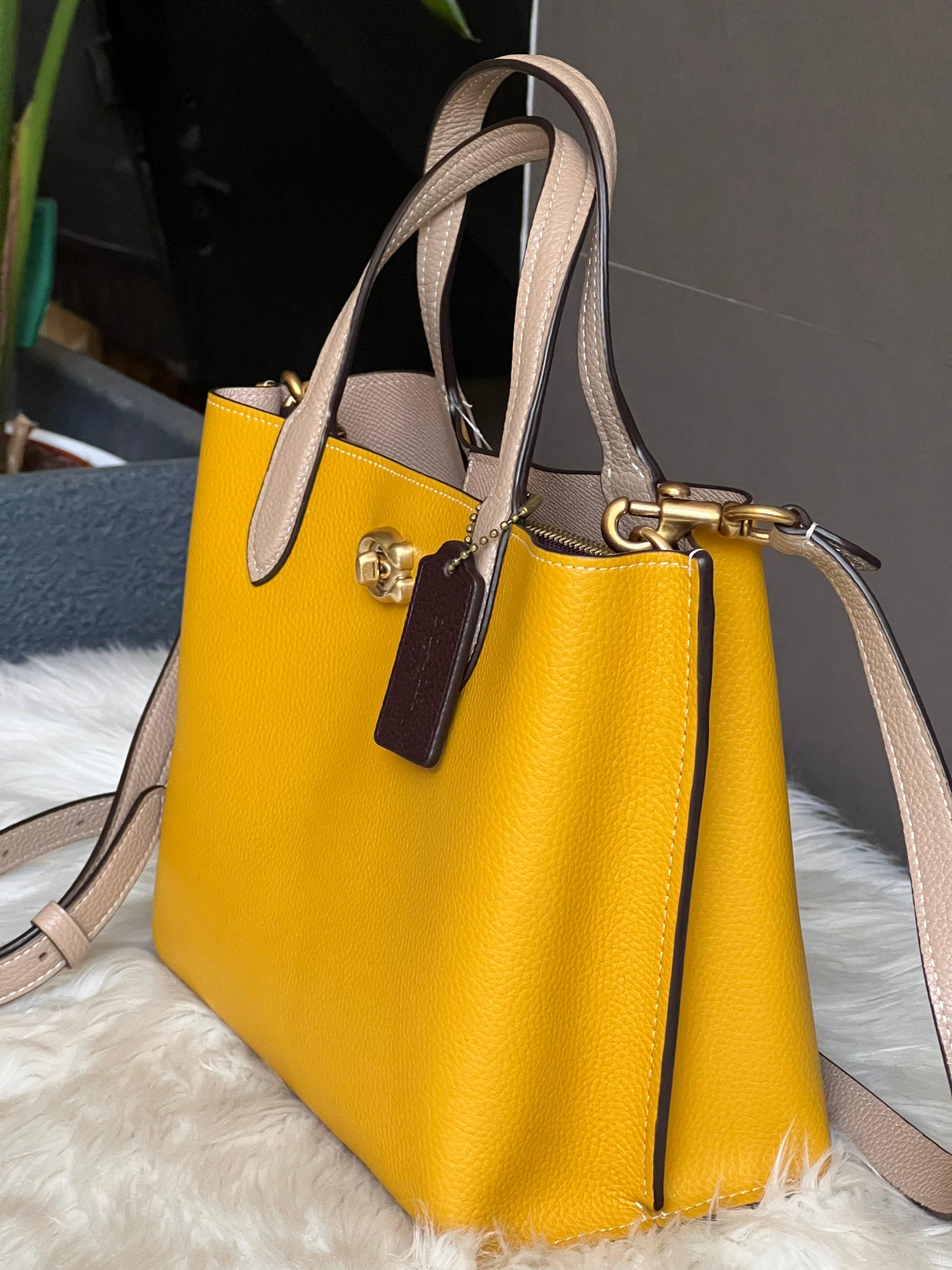 Coach Willow Tote 24 in Colorblock