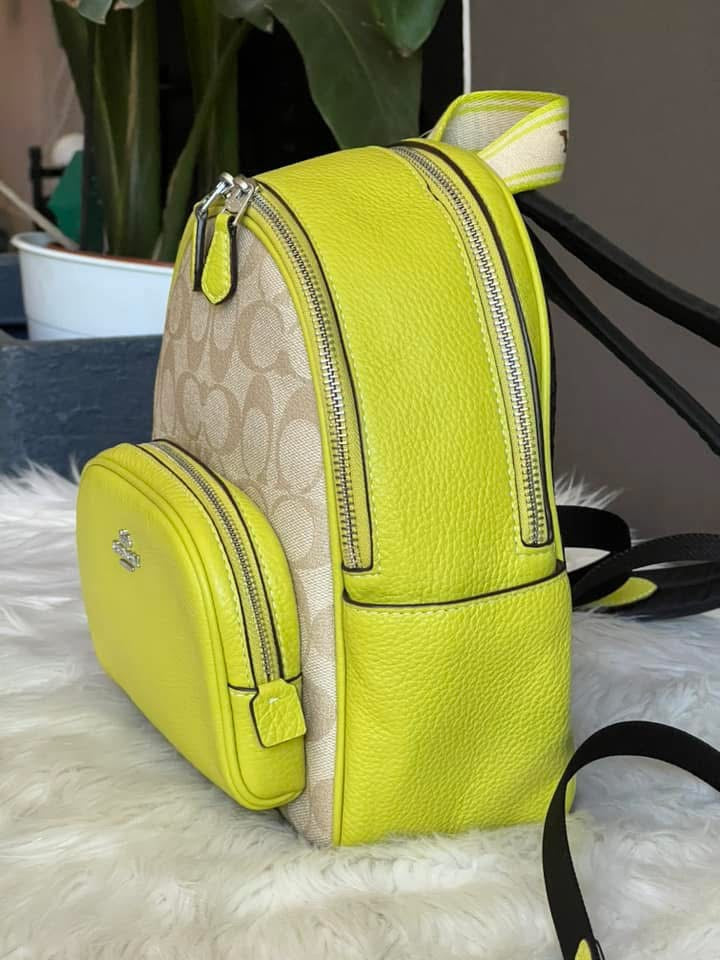 Coach Mini Court Backpack in Signature Canvas