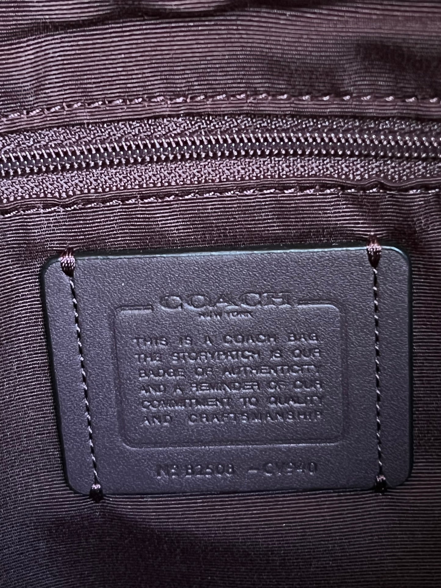 Coach Teri Hobo Bag in Signature Canvas