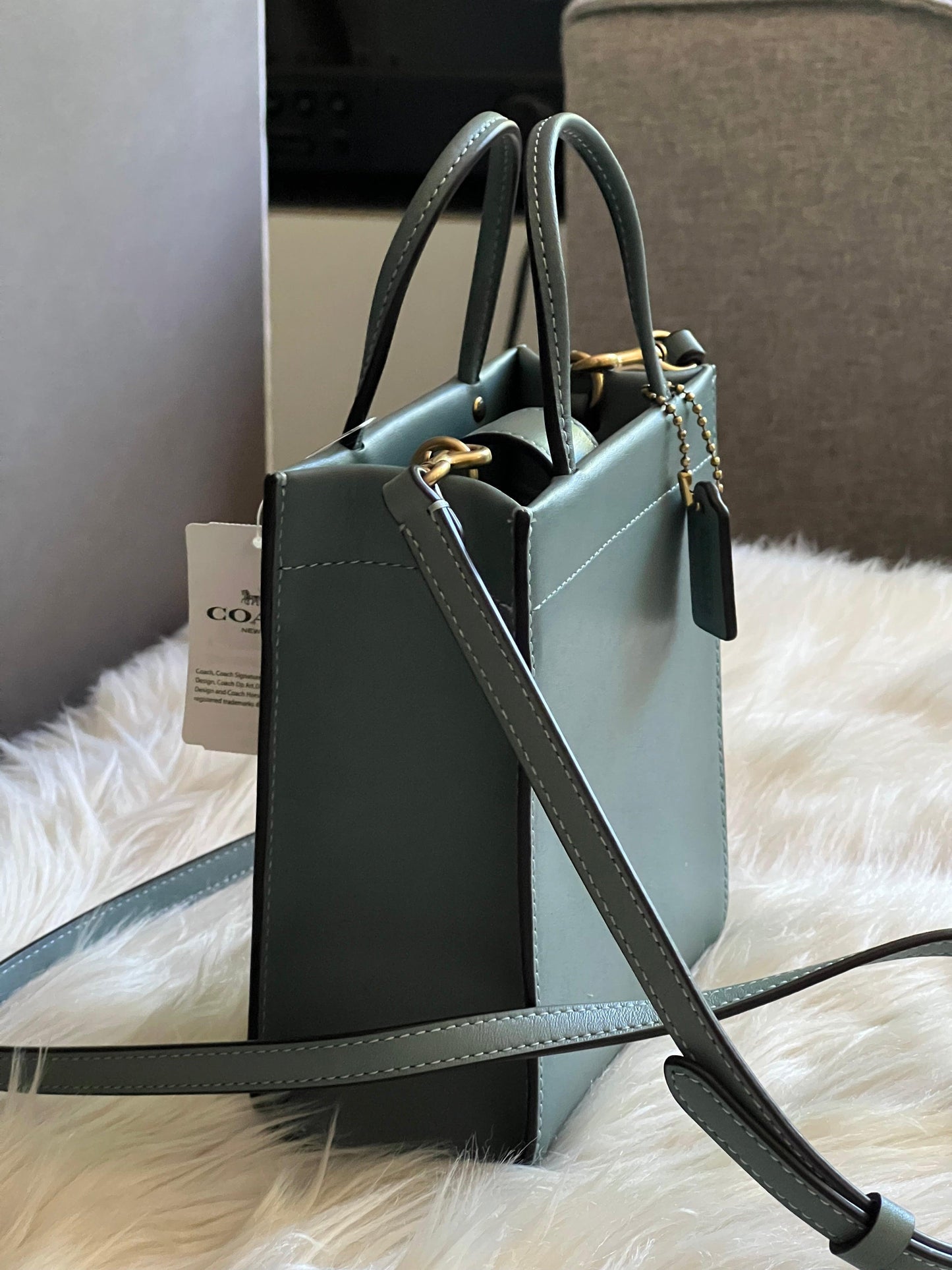 Coach Mini Cashin Tote