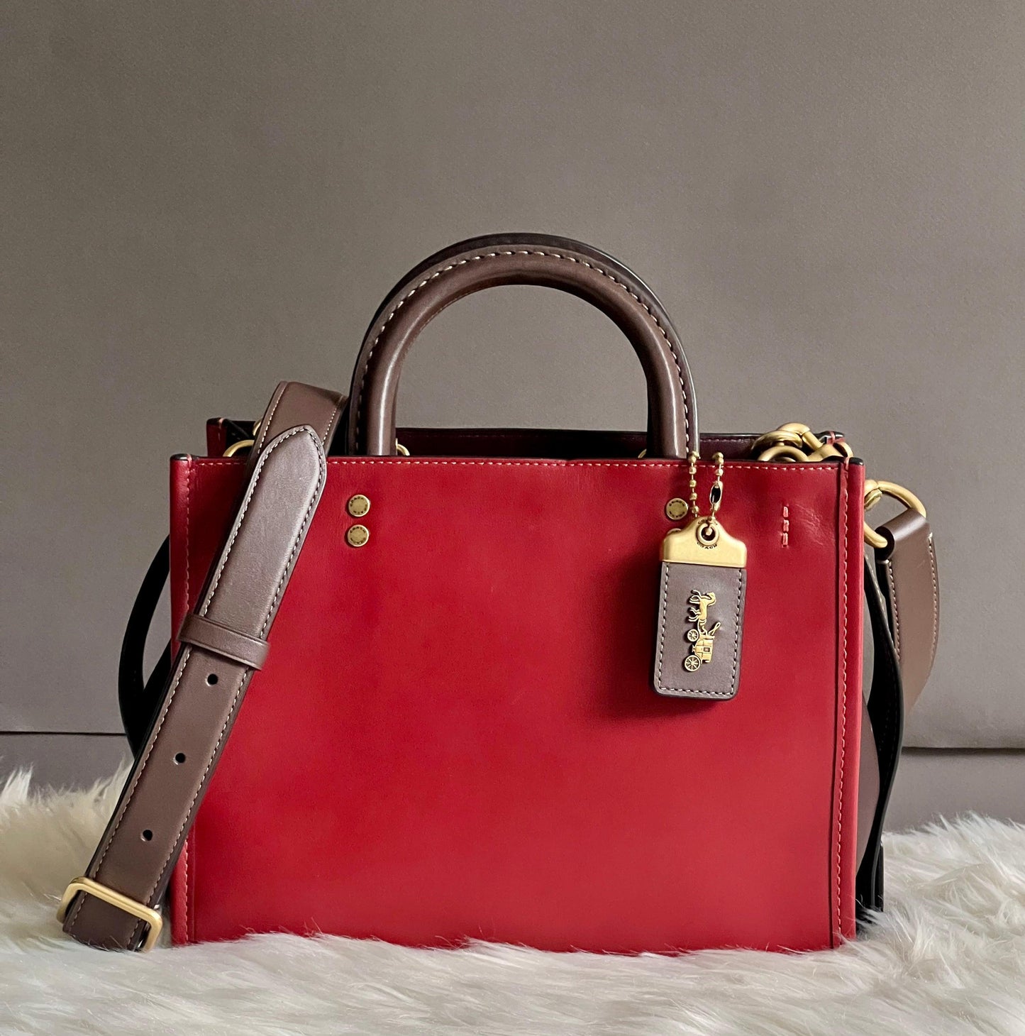 Coach Rogue 25 in Colorblock