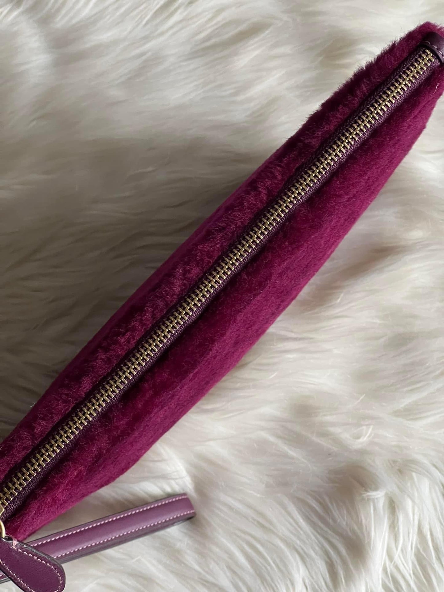 Coach Charter Pouch in Signature Shearling