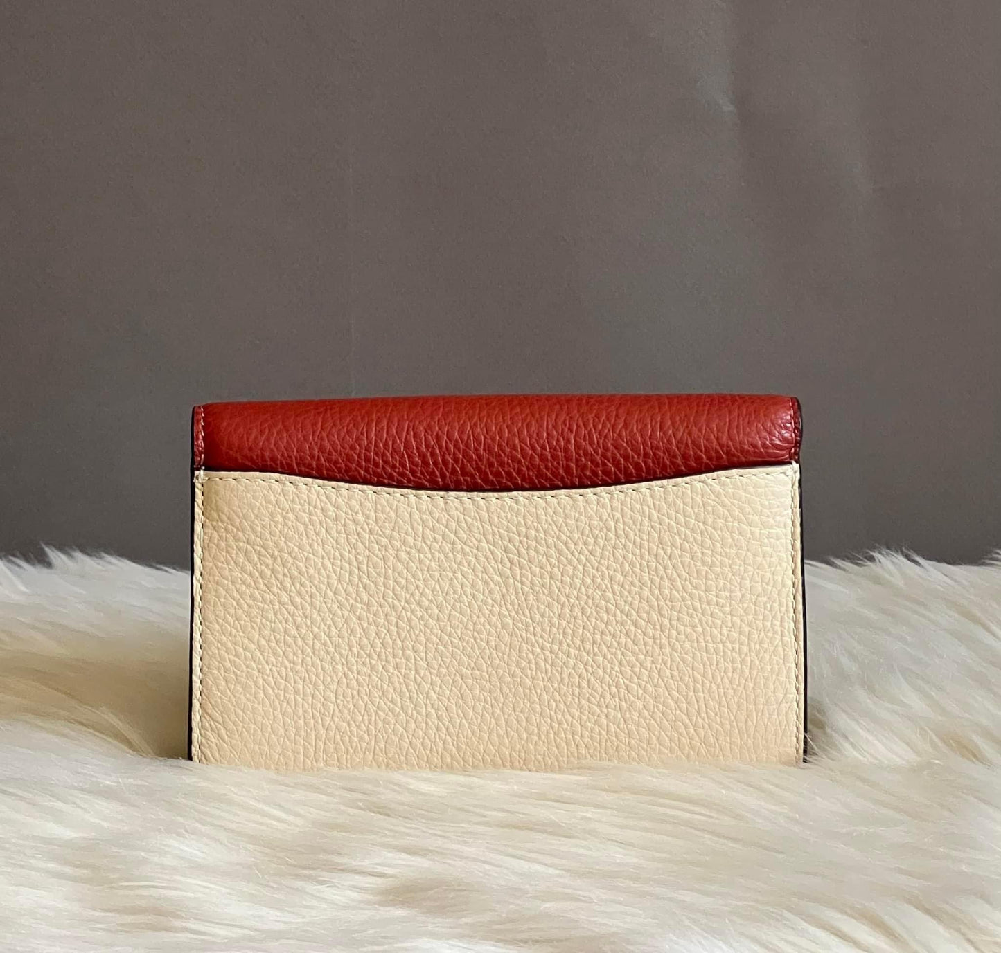 Coach Kleo Wallet in Colorblock