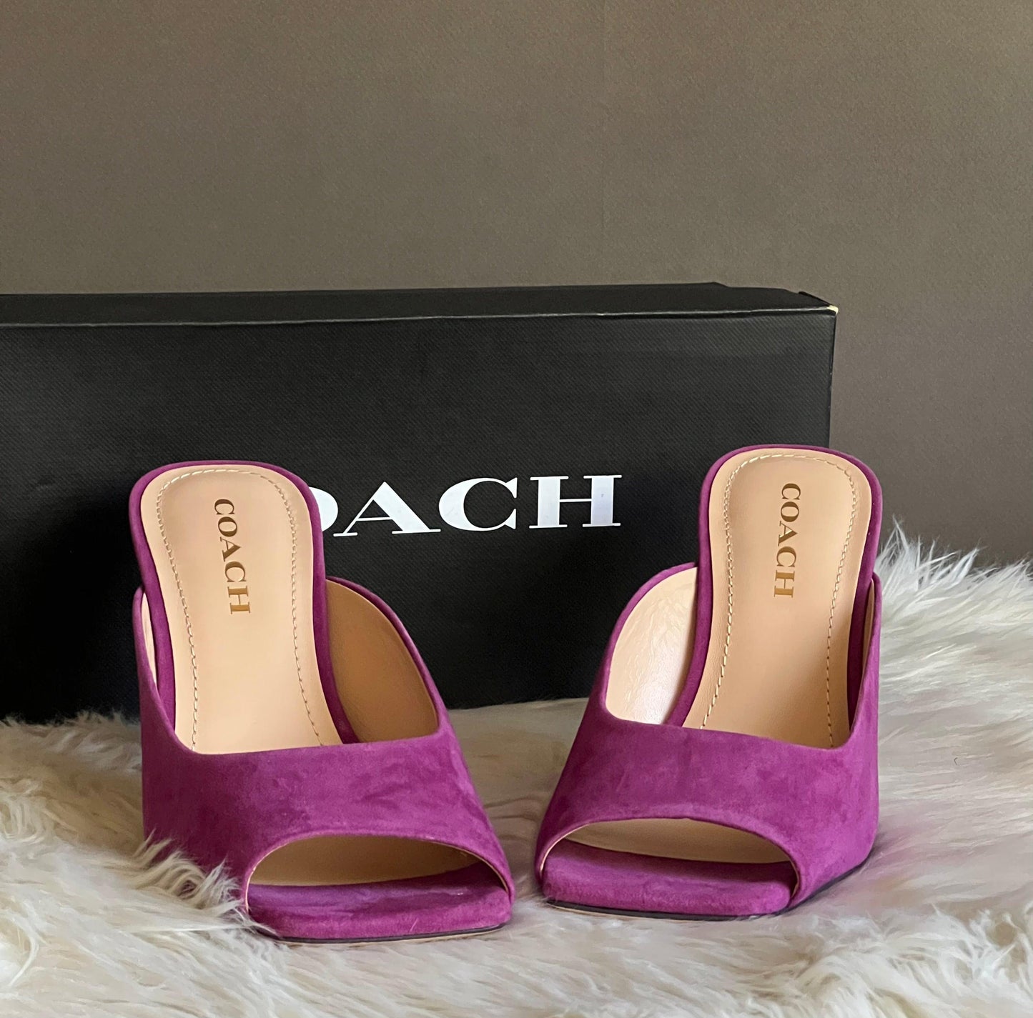 Coach Laurence Sandal