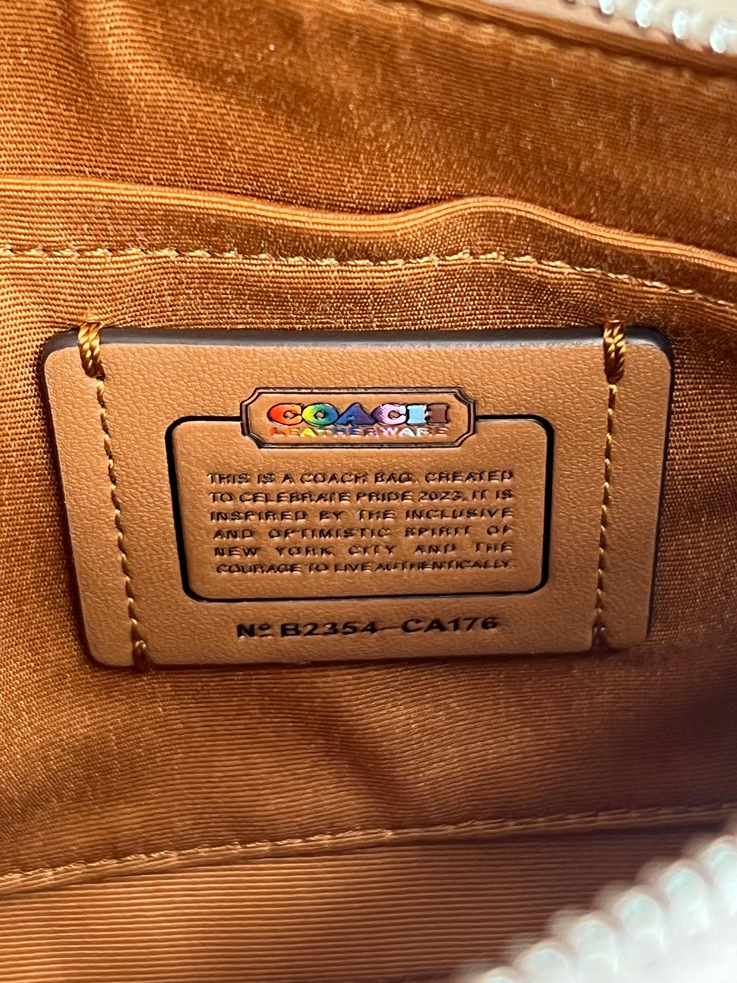 Coach Teri Shoulder Bag in Rainbow Signature Canvas
