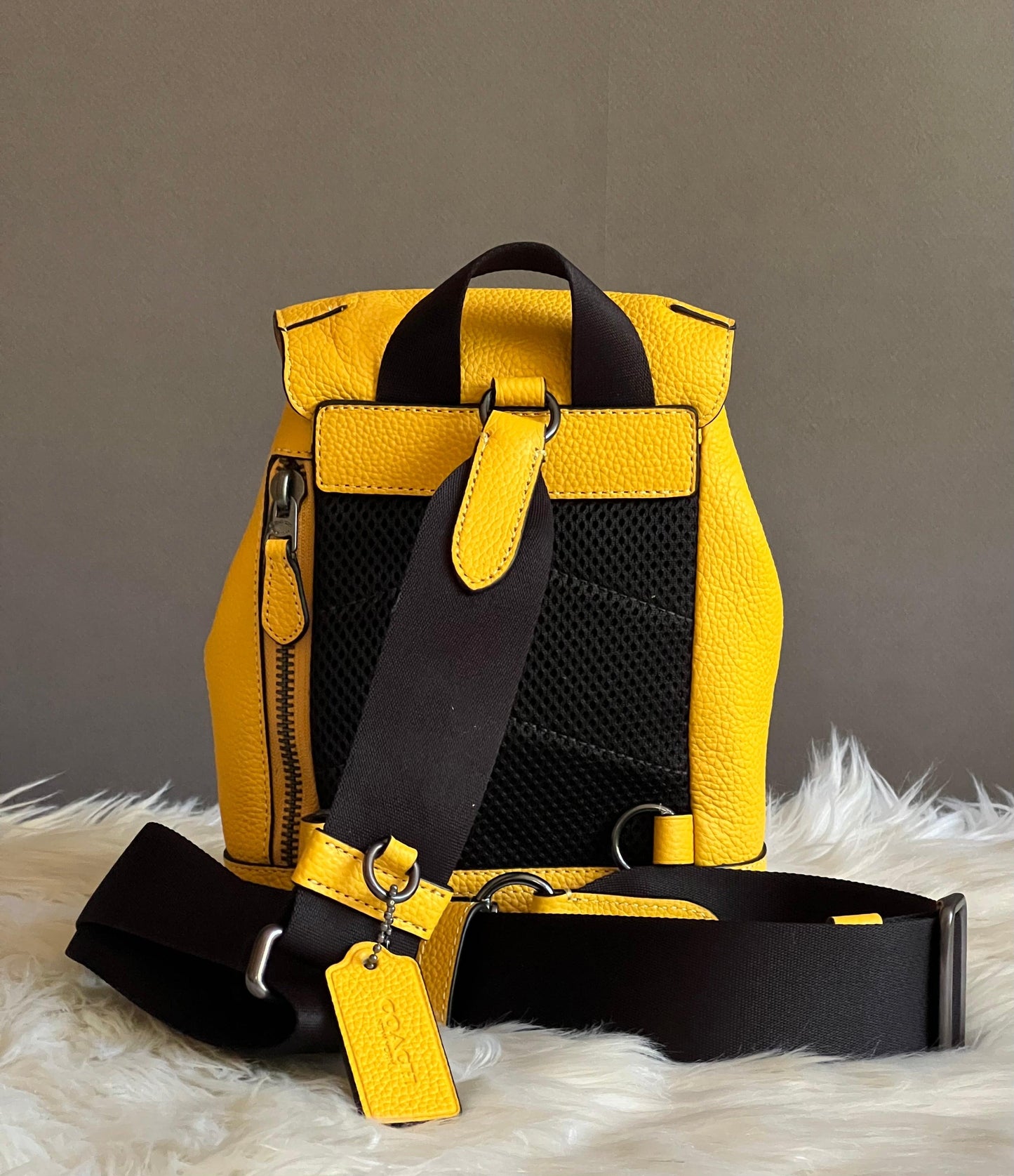 Coach Hudson Small Pack