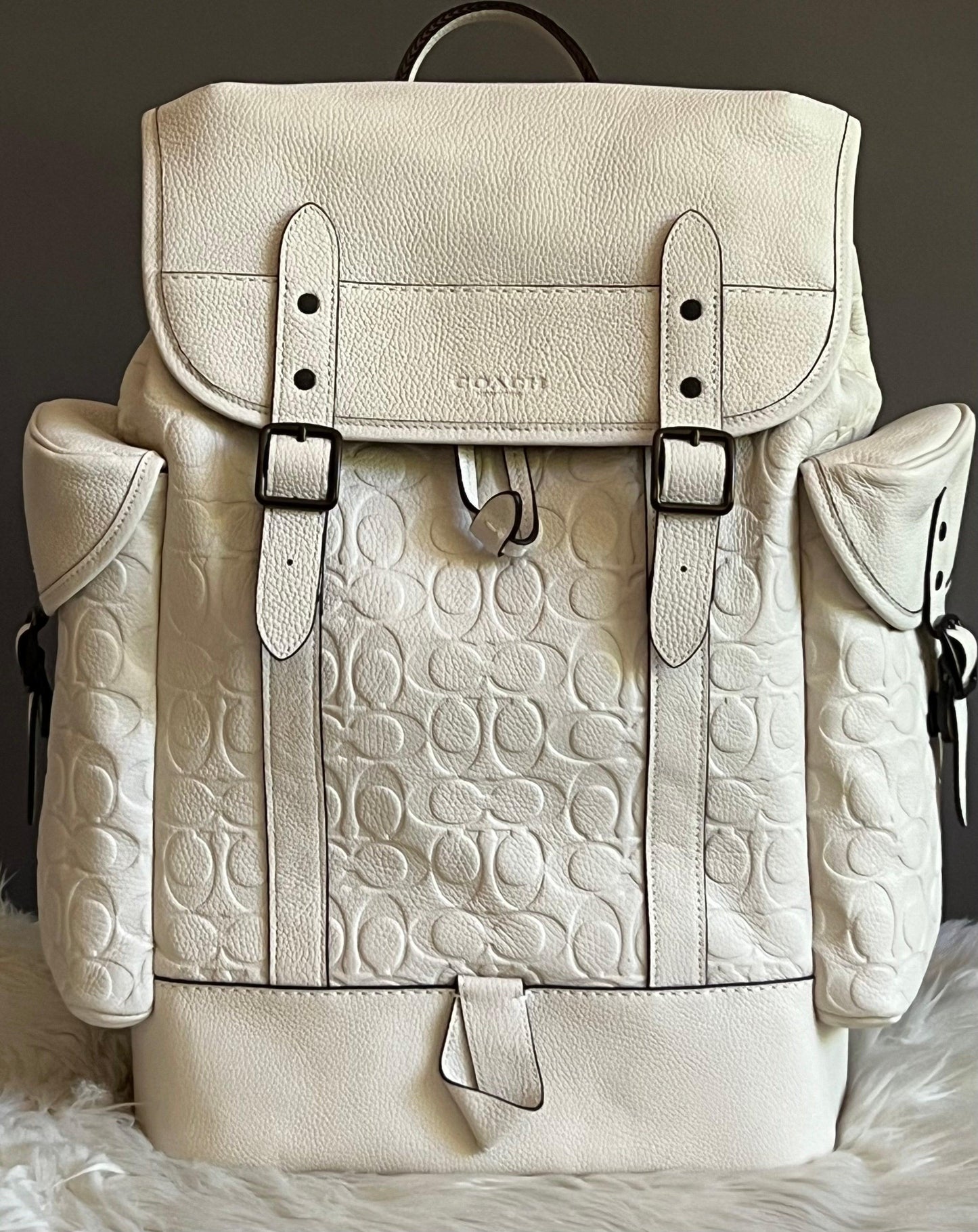 Coach Hitch Backpack in Signature Leather