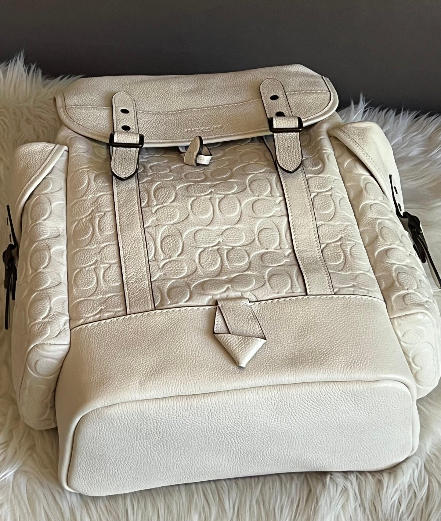 Coach Hitch Backpack in Signature Leather