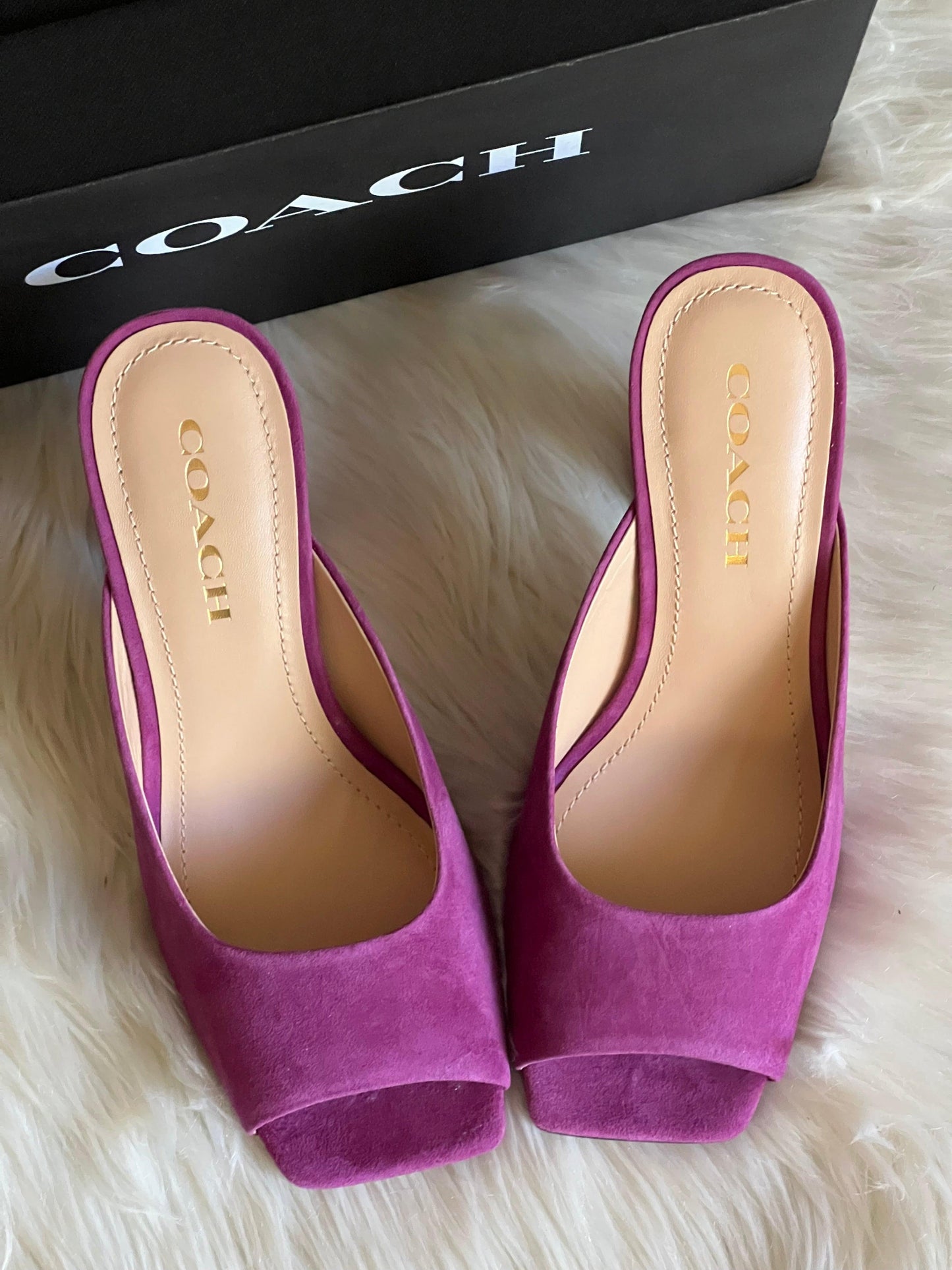 Coach Laurence Sandal