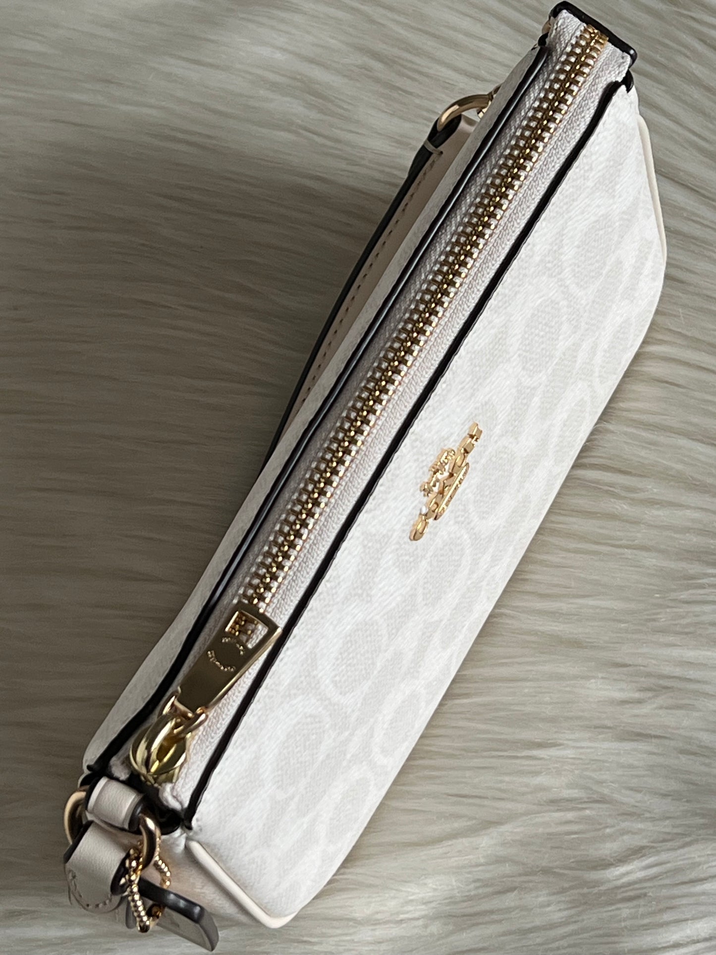Coach Nolita 19 In Signature Canvas