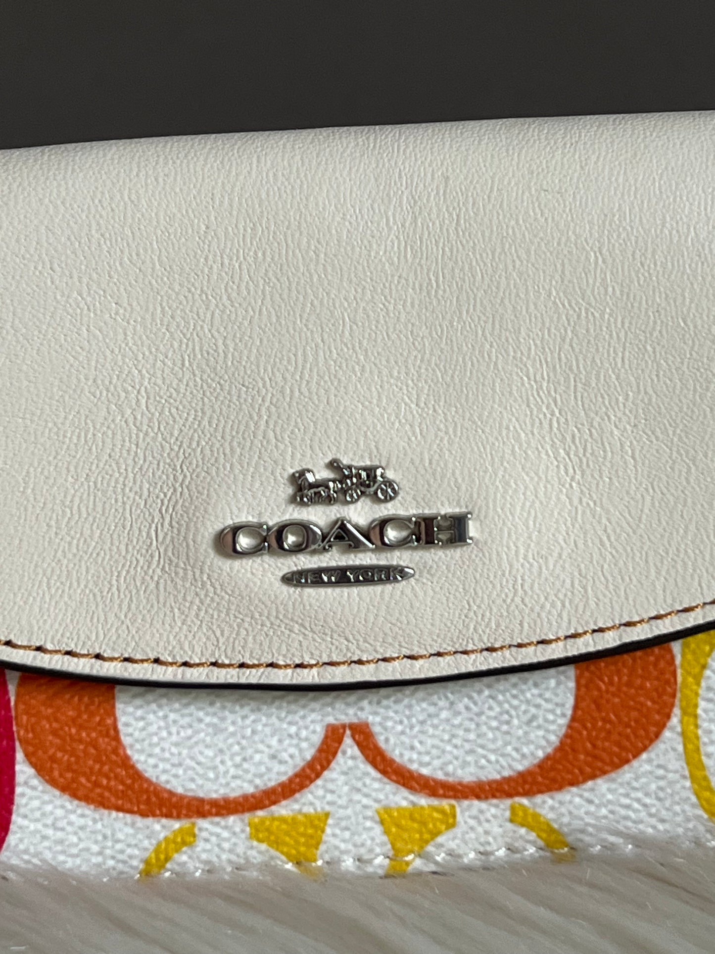 Coach Poppy Crossbody in Rainbow Signature Canvas