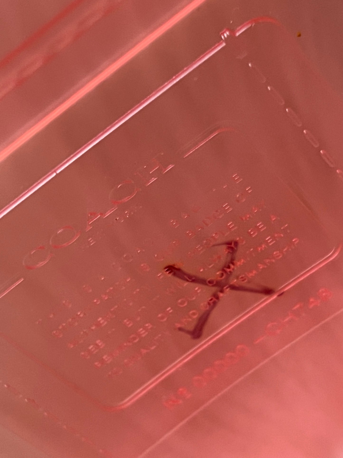 Coach Jelly Tabby - “AS IS”