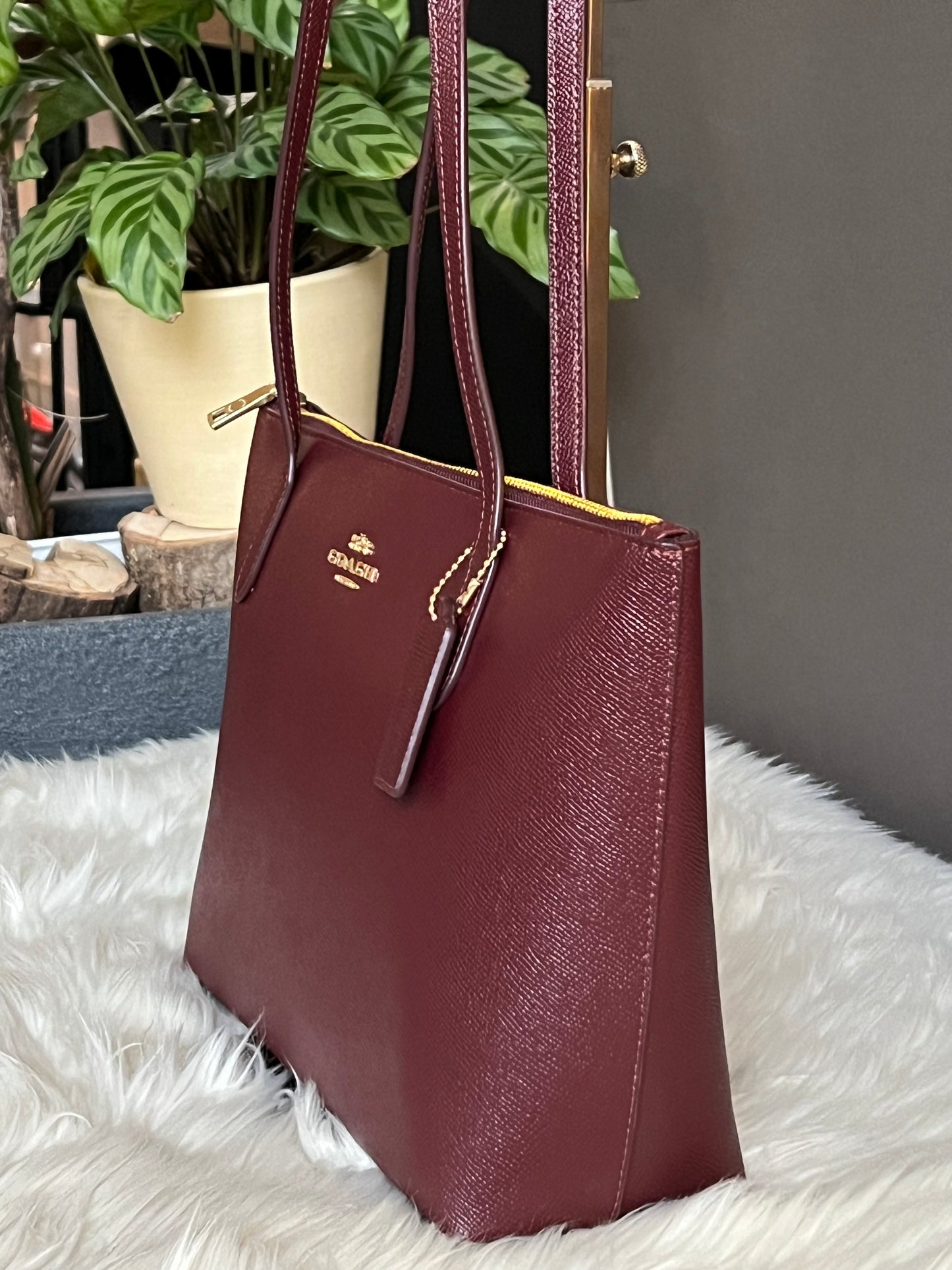 Coach Fiona Zip Tote Bag