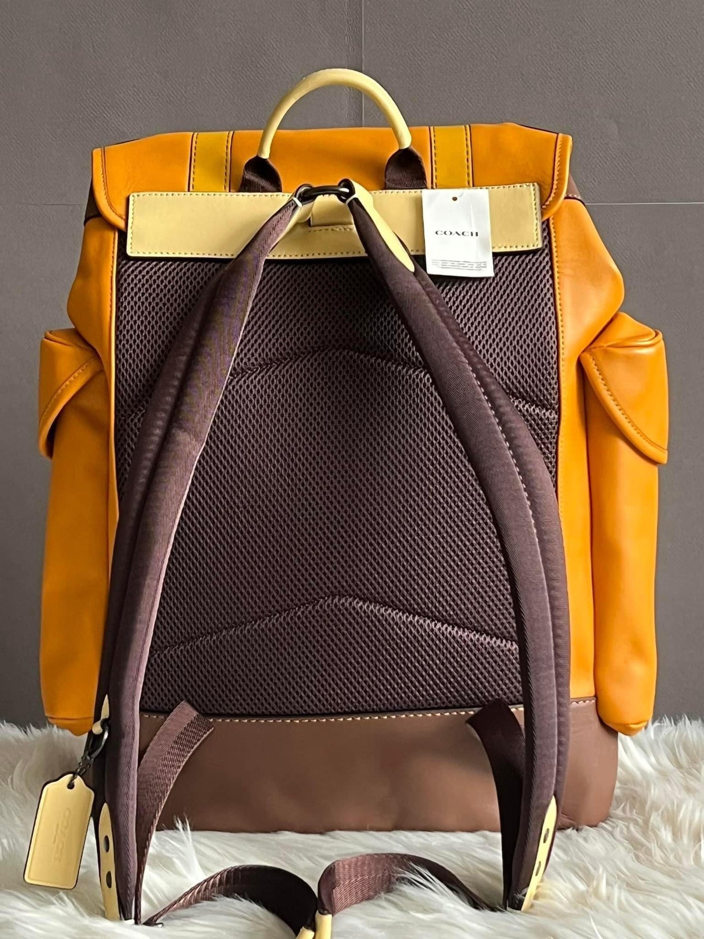 Coach Hitch Backpack with Trompe L’oeil