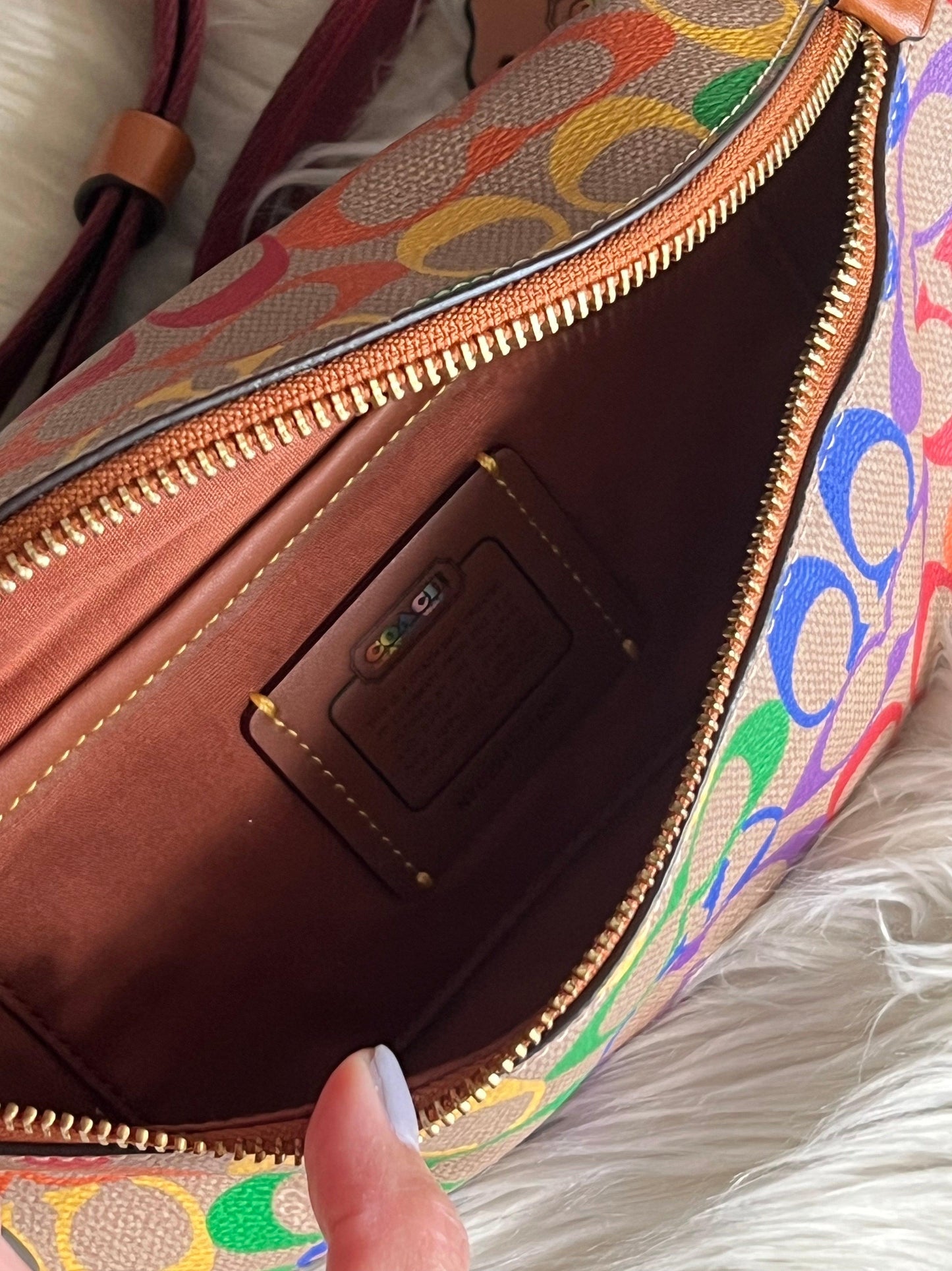 Coach Charter Belt Bag 7 in Rainbow Signature Canvas