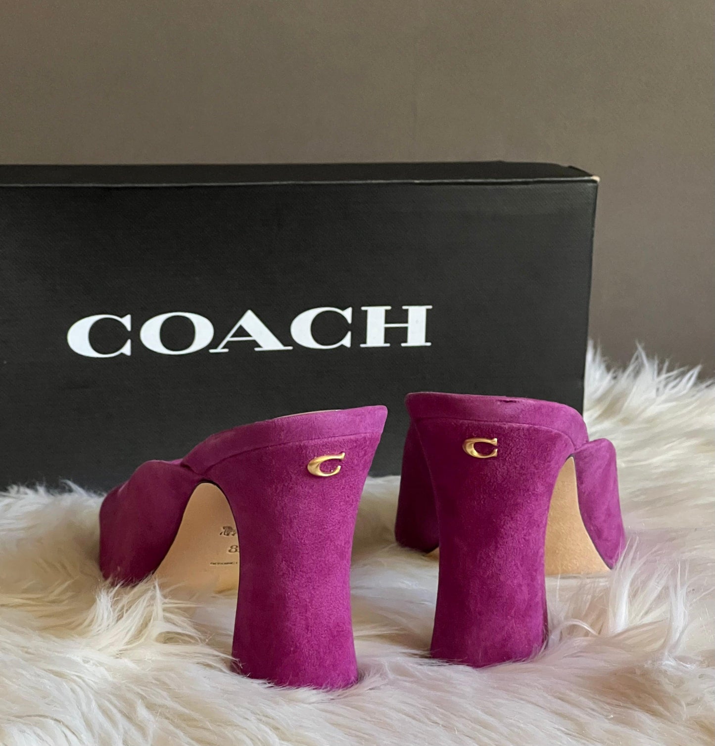 Coach Laurence Sandal