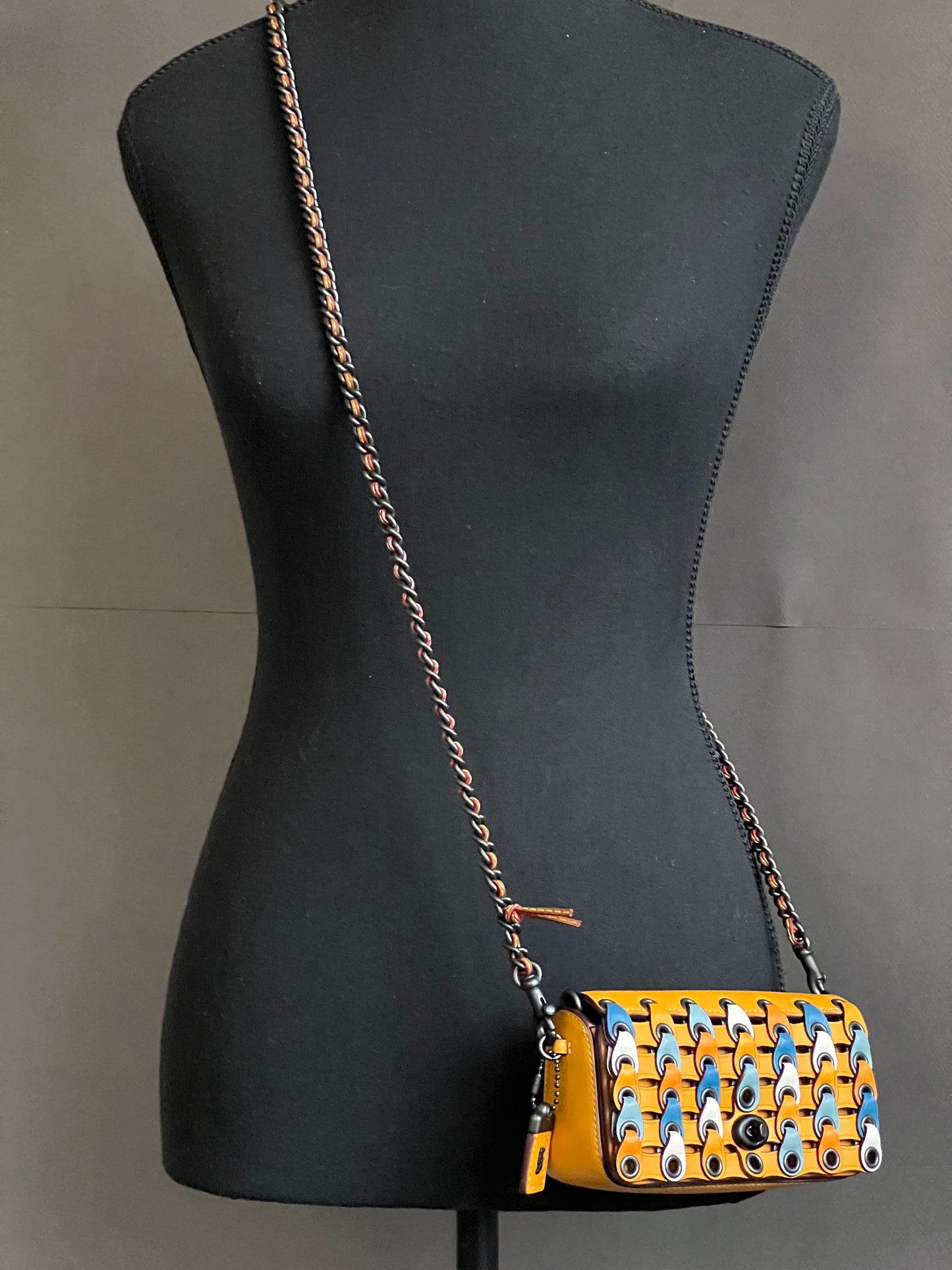 Coach Link Dinkier With Colorblock Crossbody
