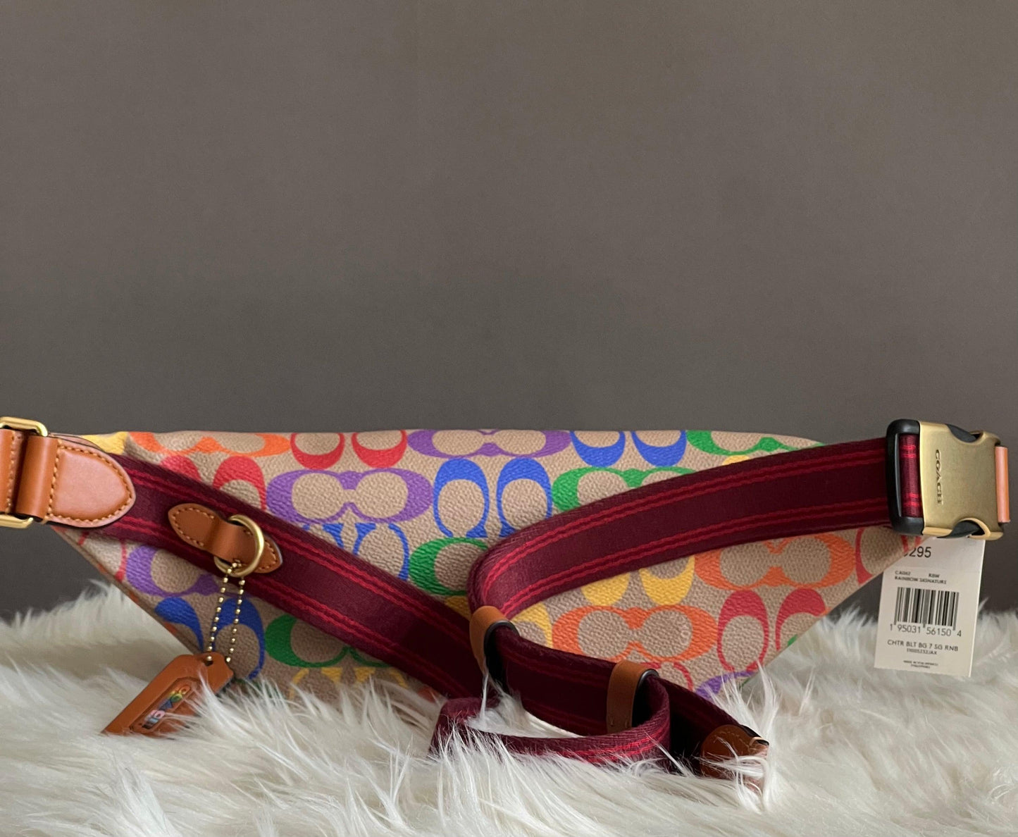 Coach Charter Belt Bag 7 in Rainbow Signature Canvas