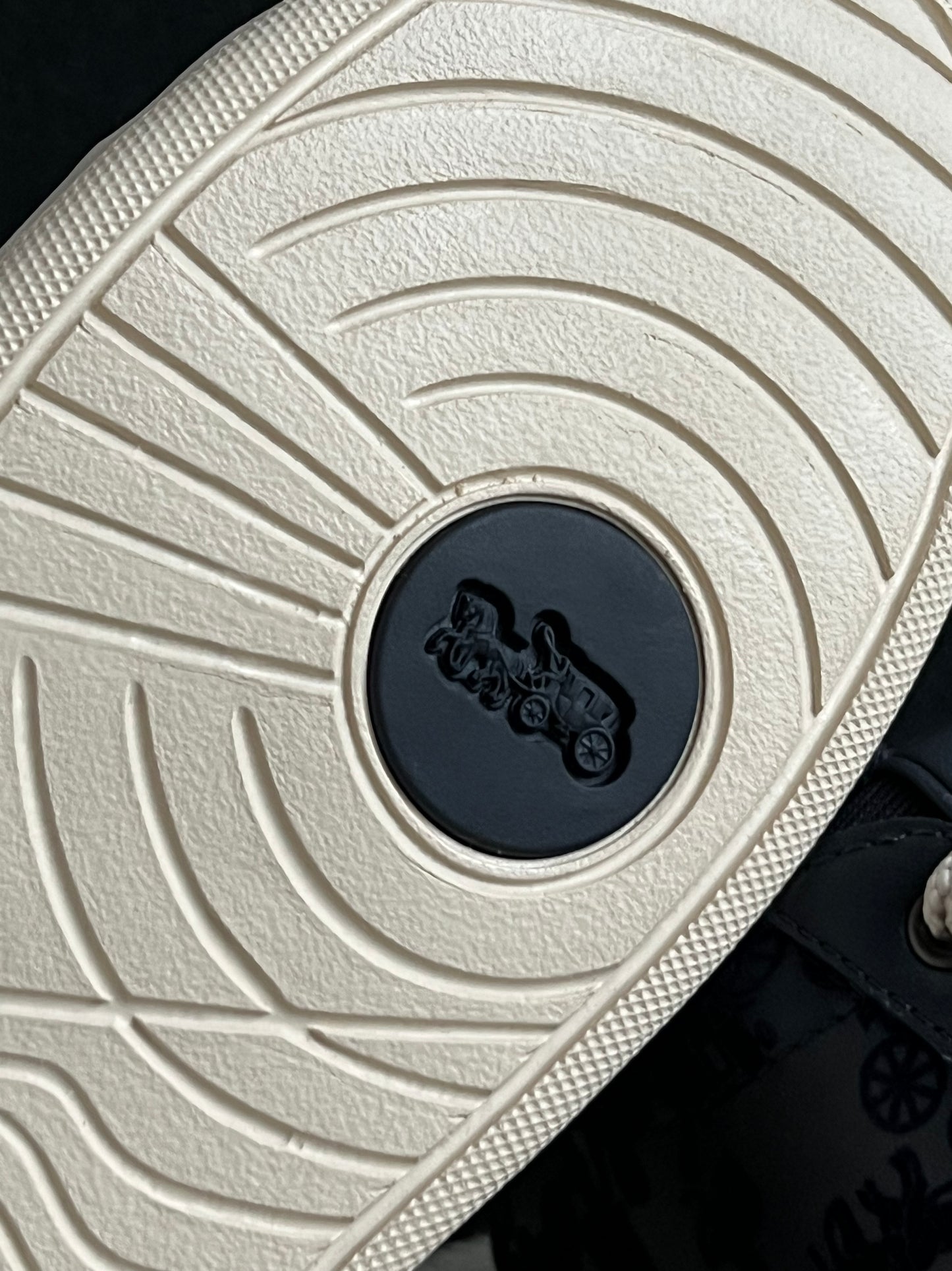 Coach Lowline Low Top Sneaker
