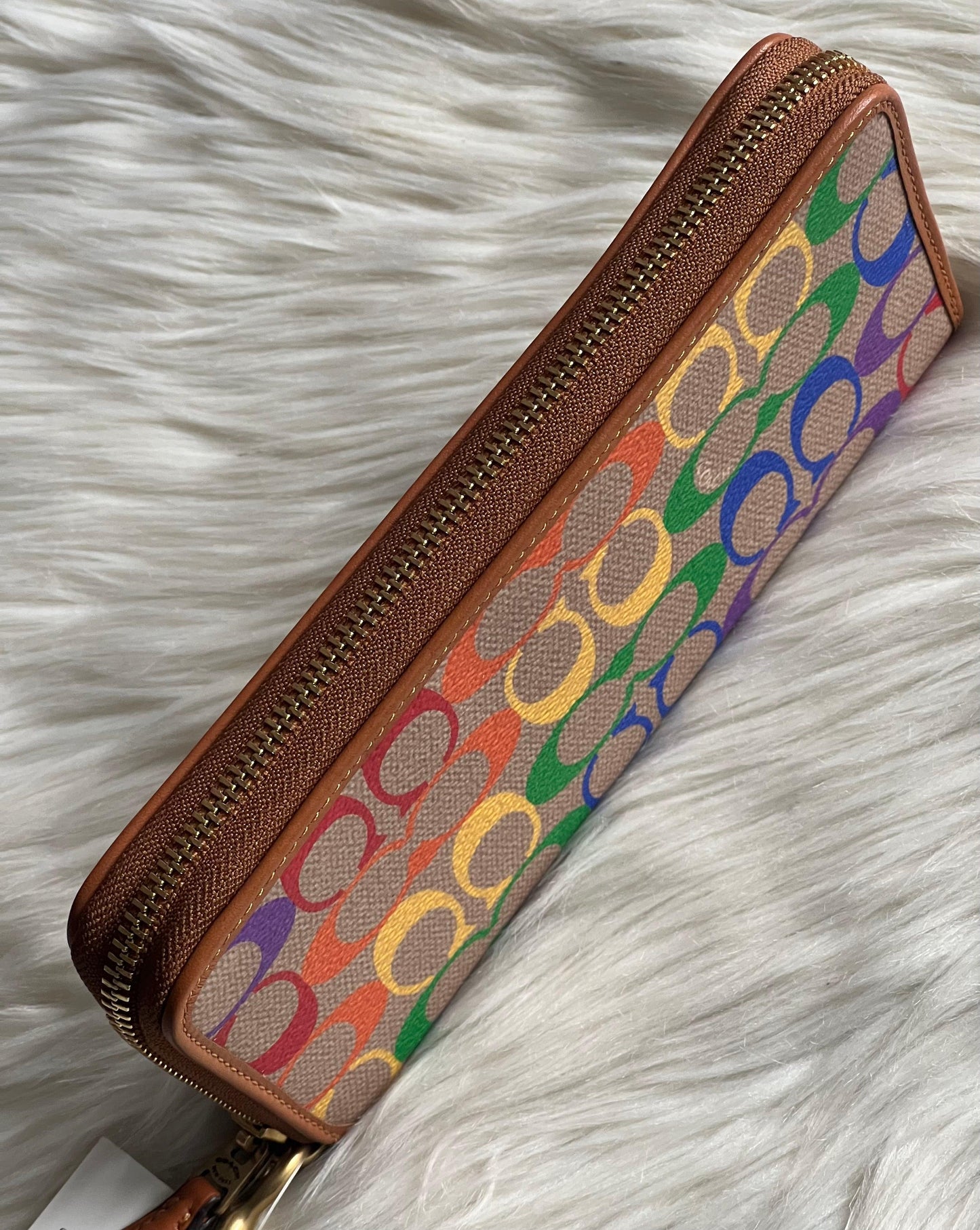 Coach Continental Wallet In Rainbow Signature Canvas