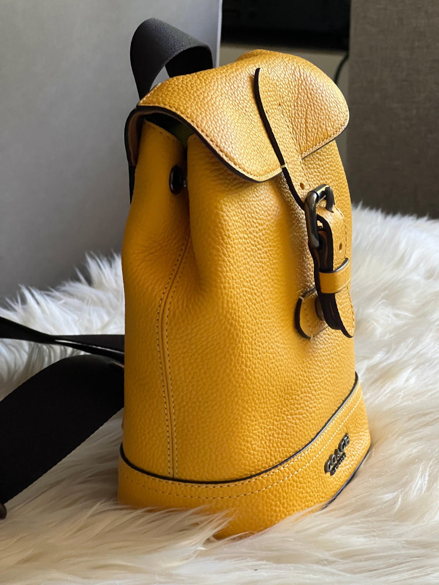 Coach Hudson Small Pack