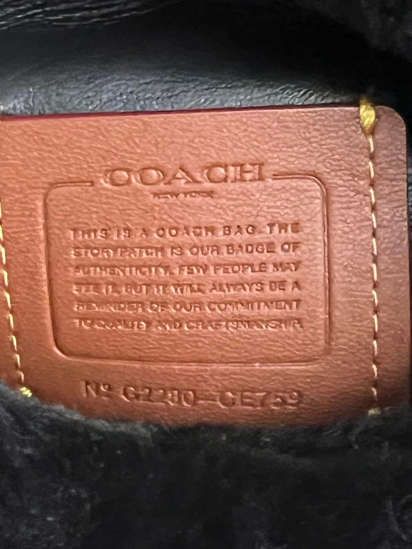 Coach Drawstring Pouch in Shearling