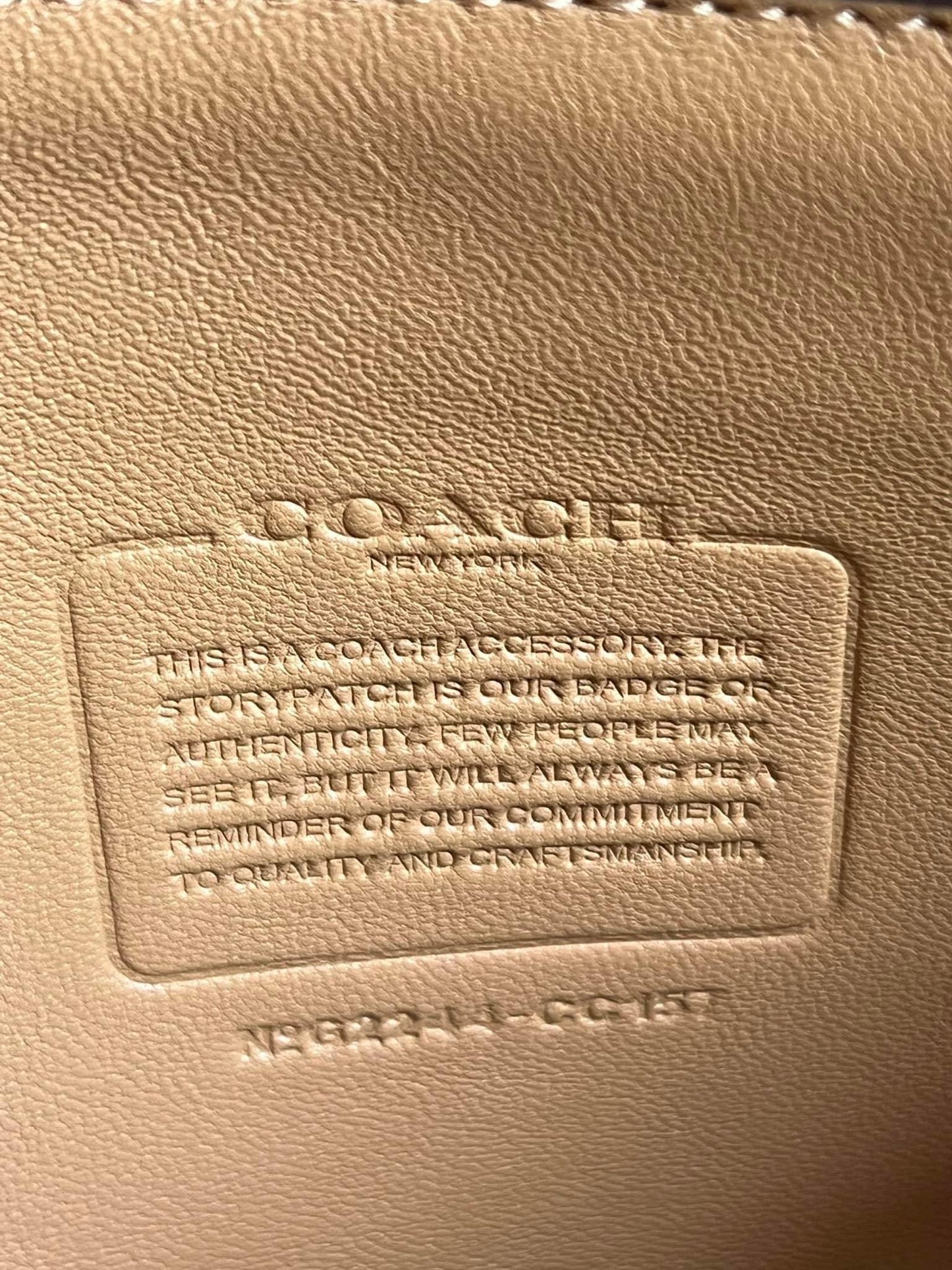 Coach Charter Pouch in Signature Shearling