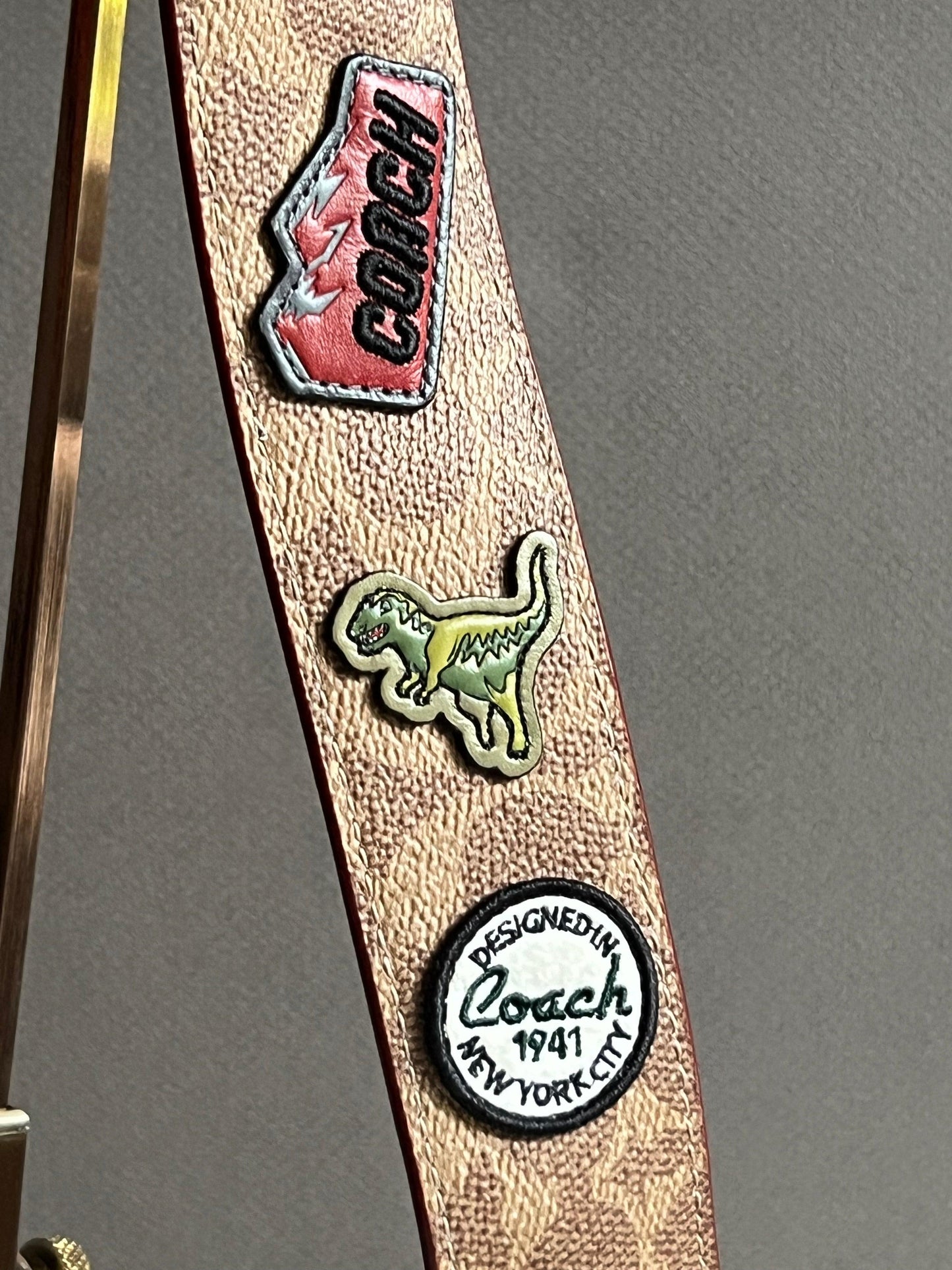 Coach Strap In Signature Canvas With Patches