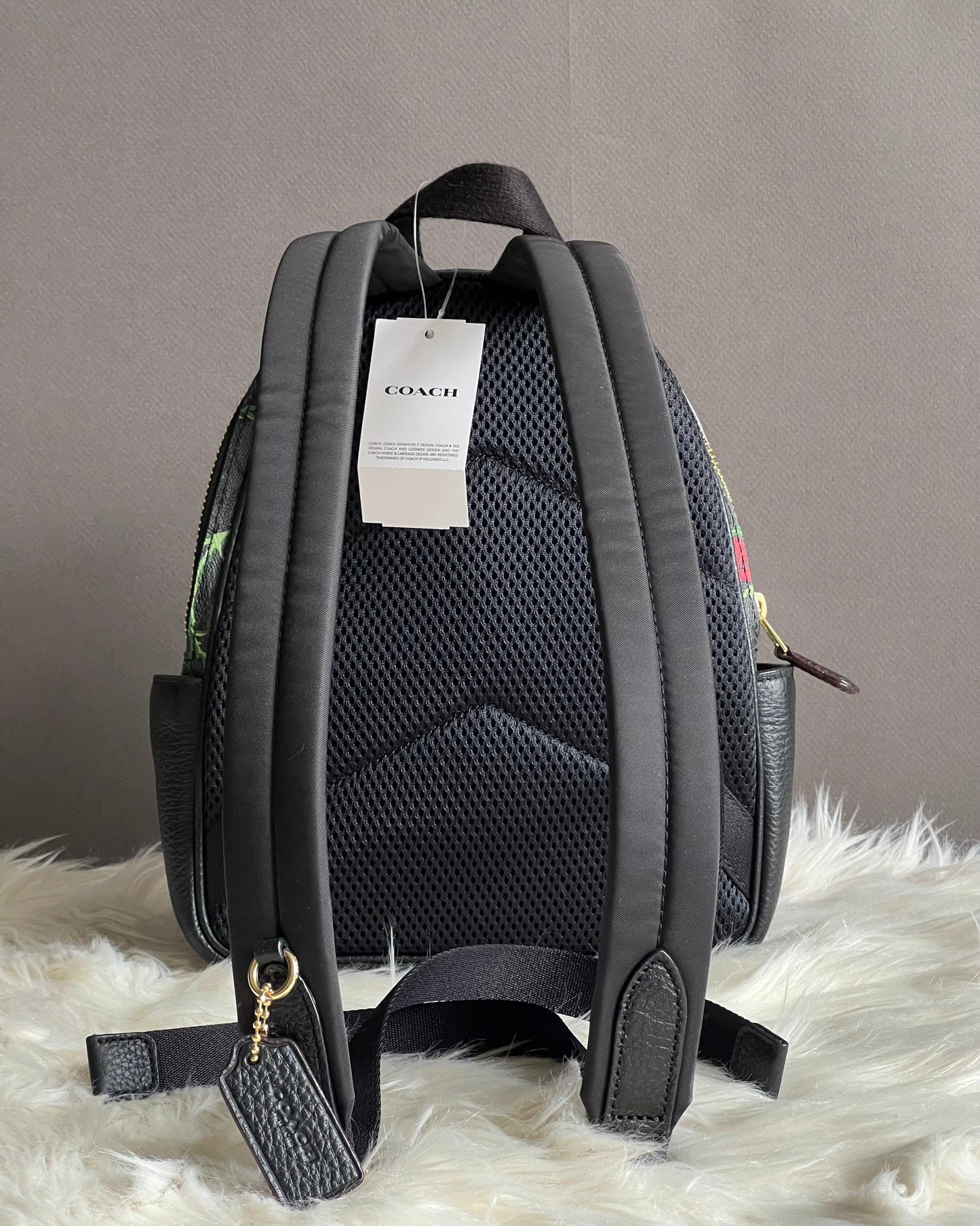 Coach Mini Court Backpack in Signature Canvas with Fairytale Rose Print