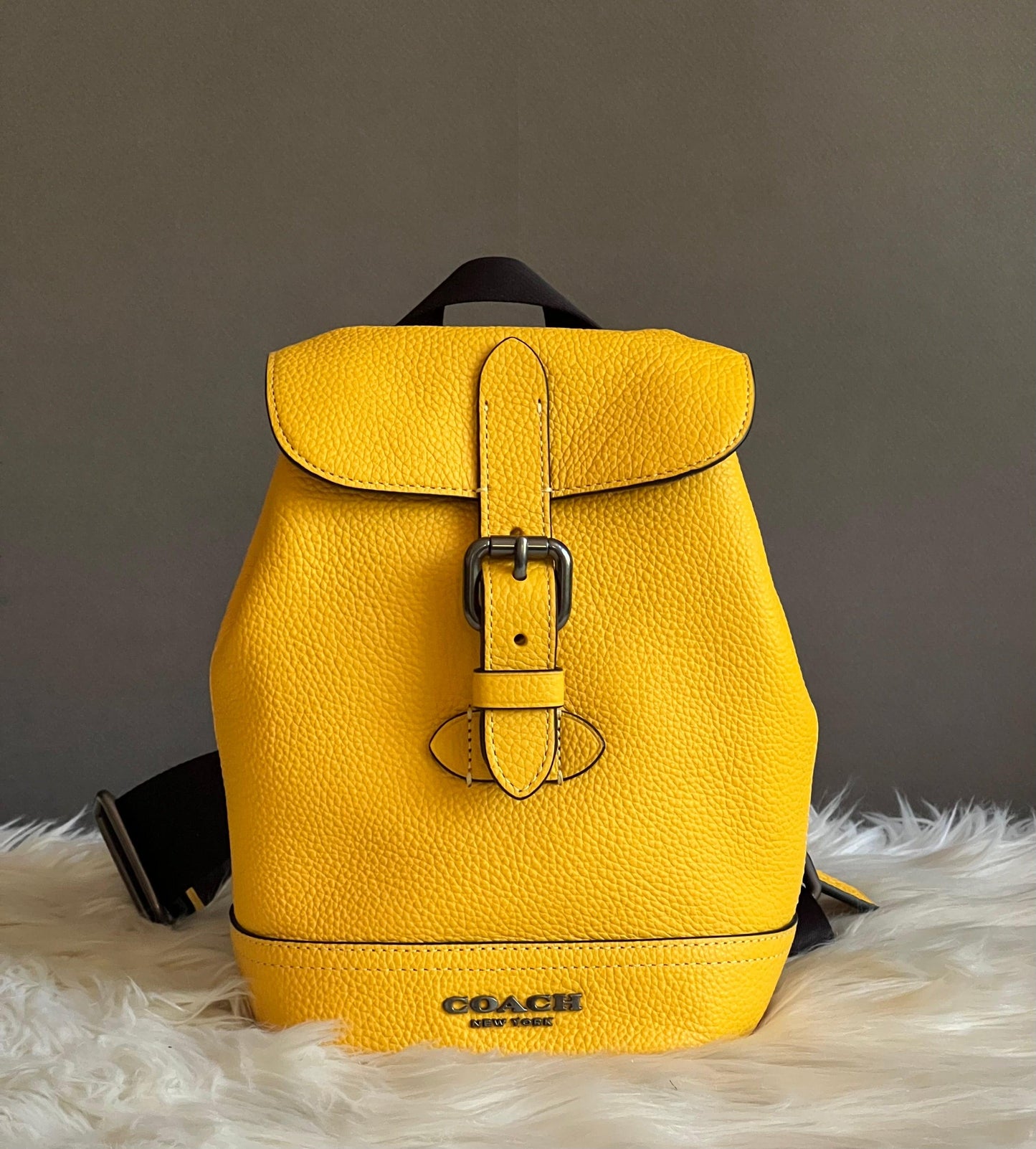 Coach Hudson Small Pack