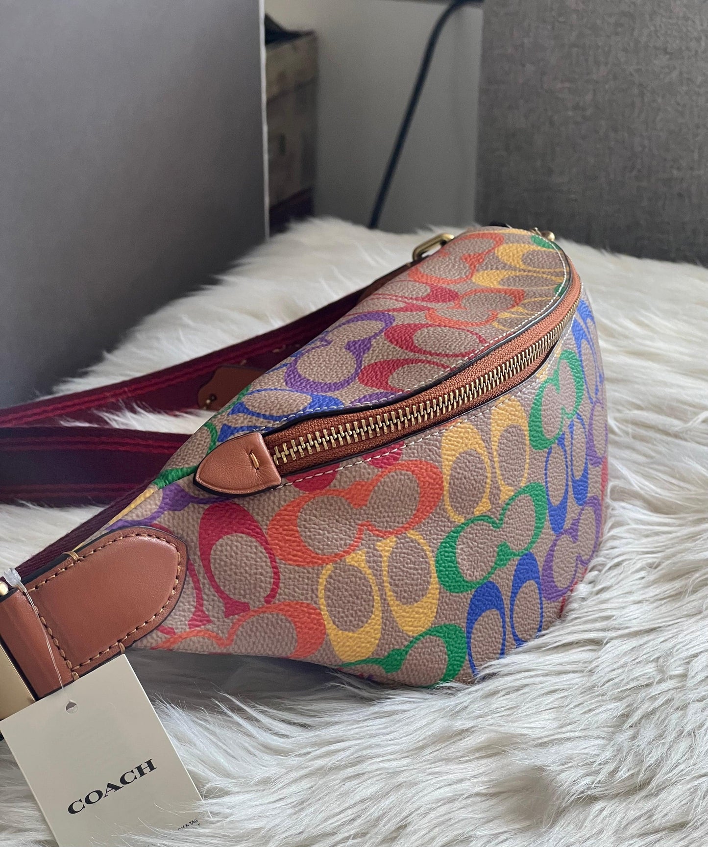 Coach Charter Belt Bag 7 in Rainbow Signature Canvas