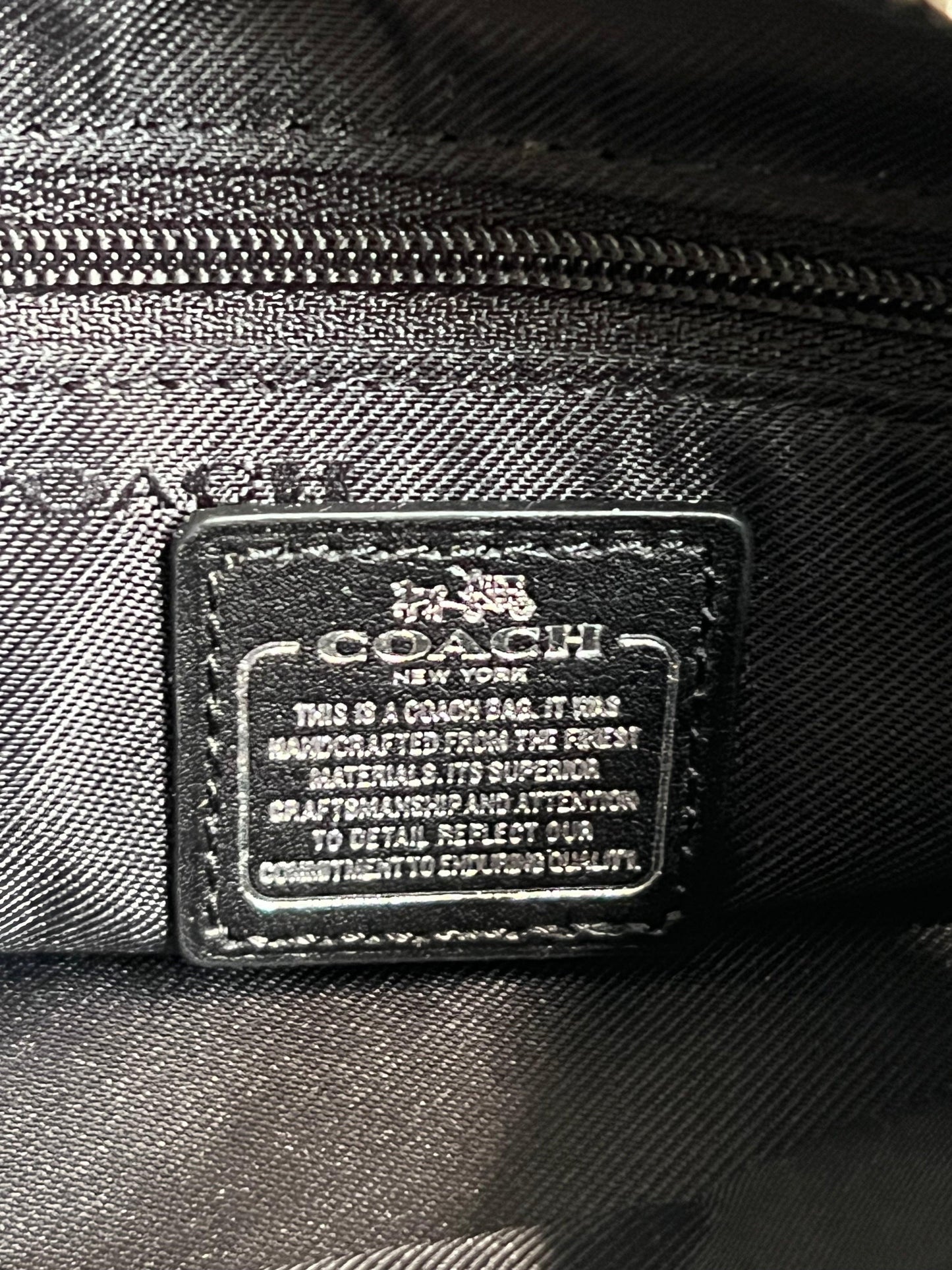 Coach Swagger 20 in Pebble Leather