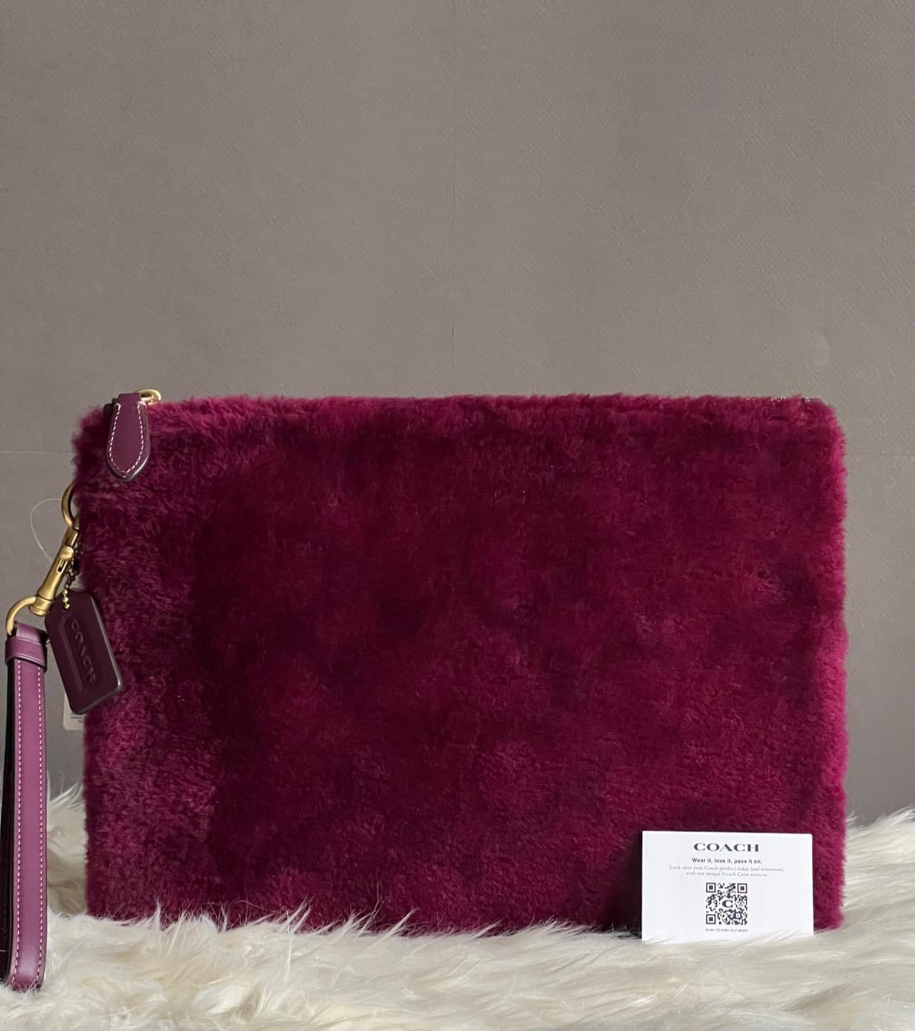 Coach Charter Pouch in Signature Shearling