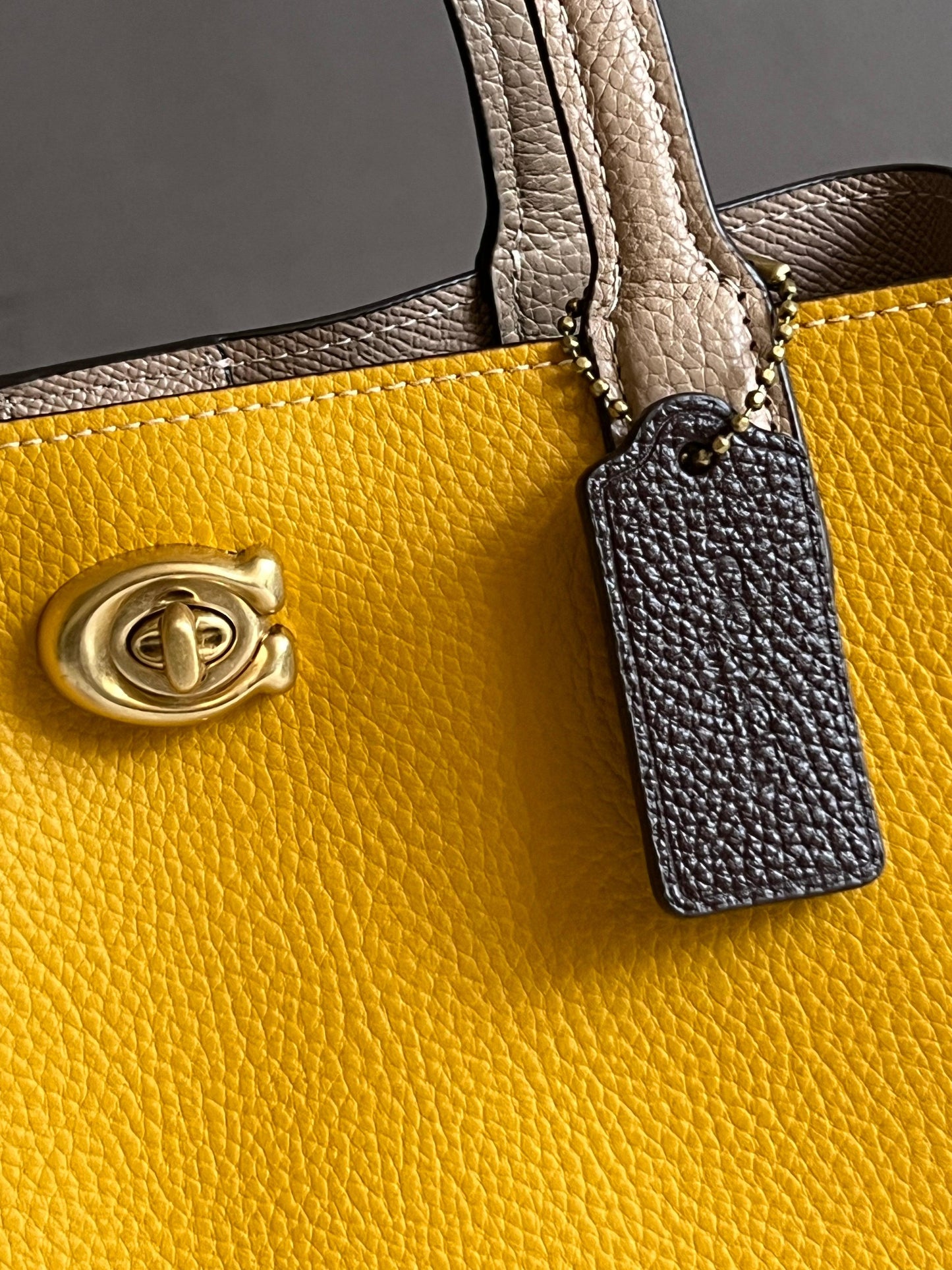 Coach Willow Tote 24 in Colorblock