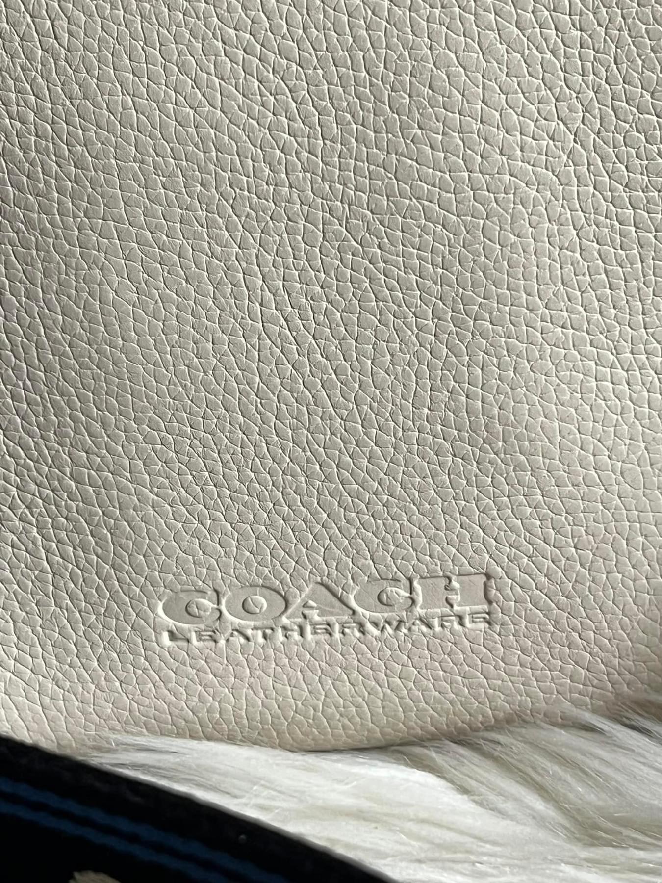 Coach Charter North/South Crossbody With Hybrid Pouch In Colorblock