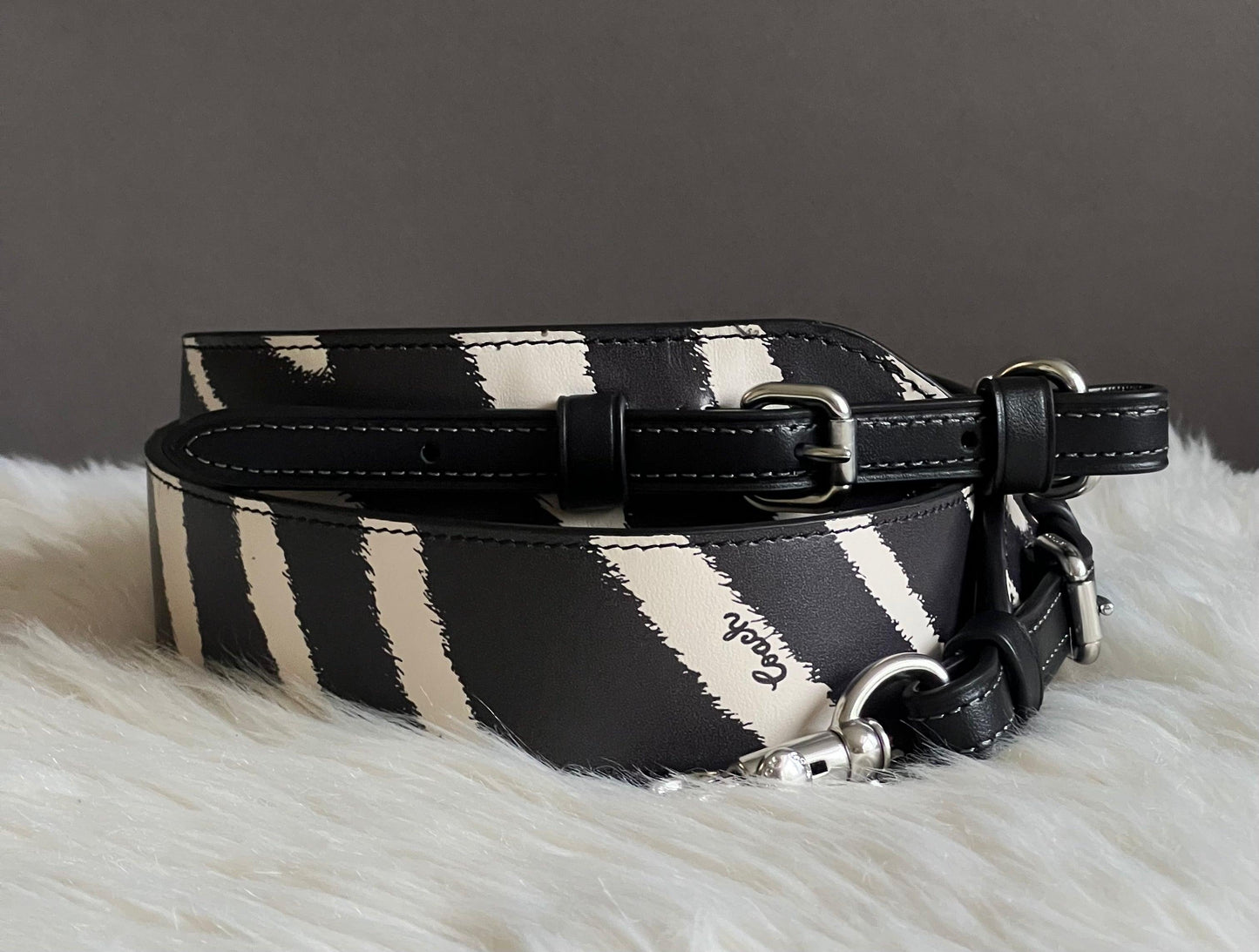 Coach Strap with Zebra Print