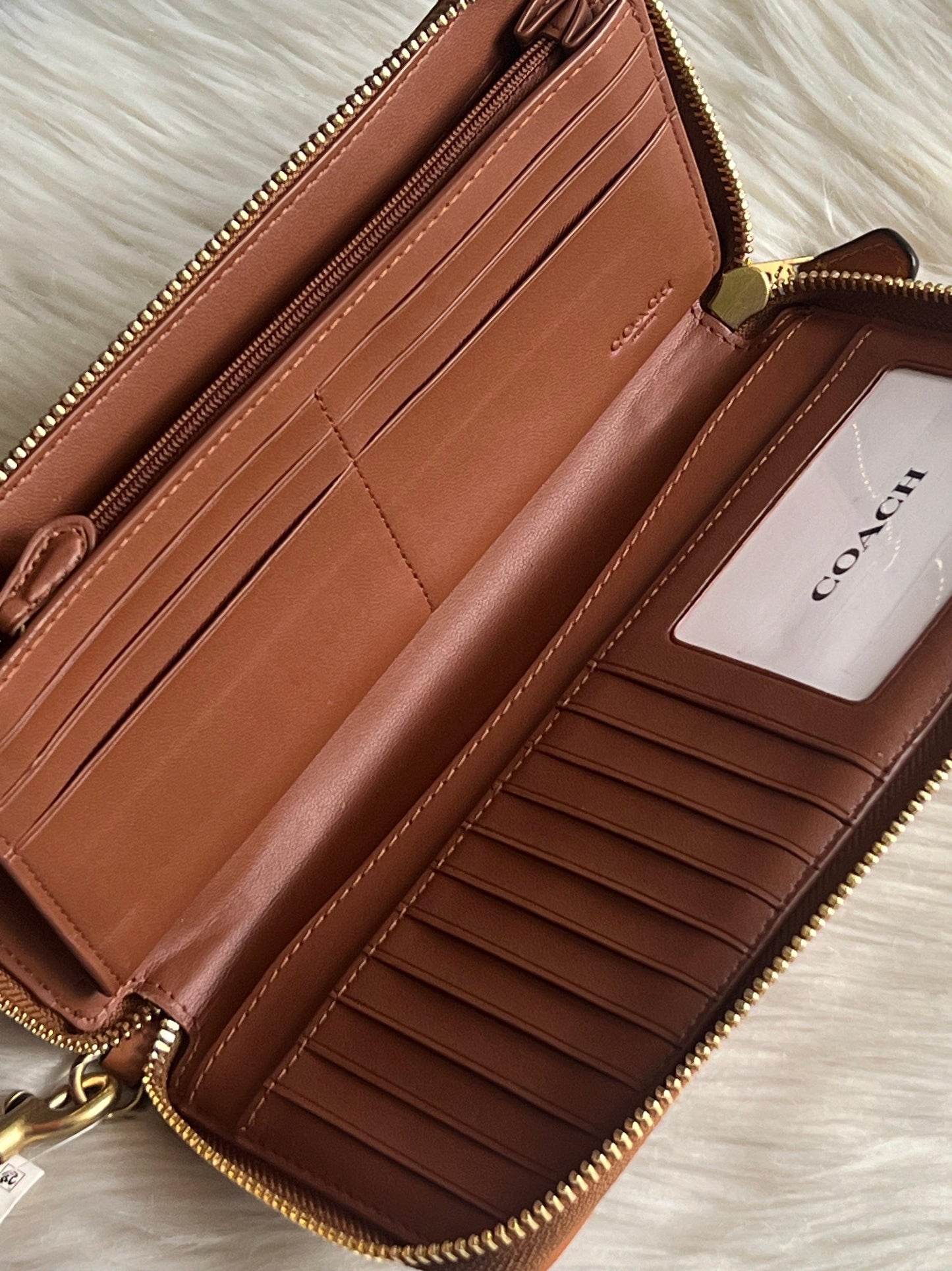 Coach Continental Wallet In Rainbow Signature Canvas