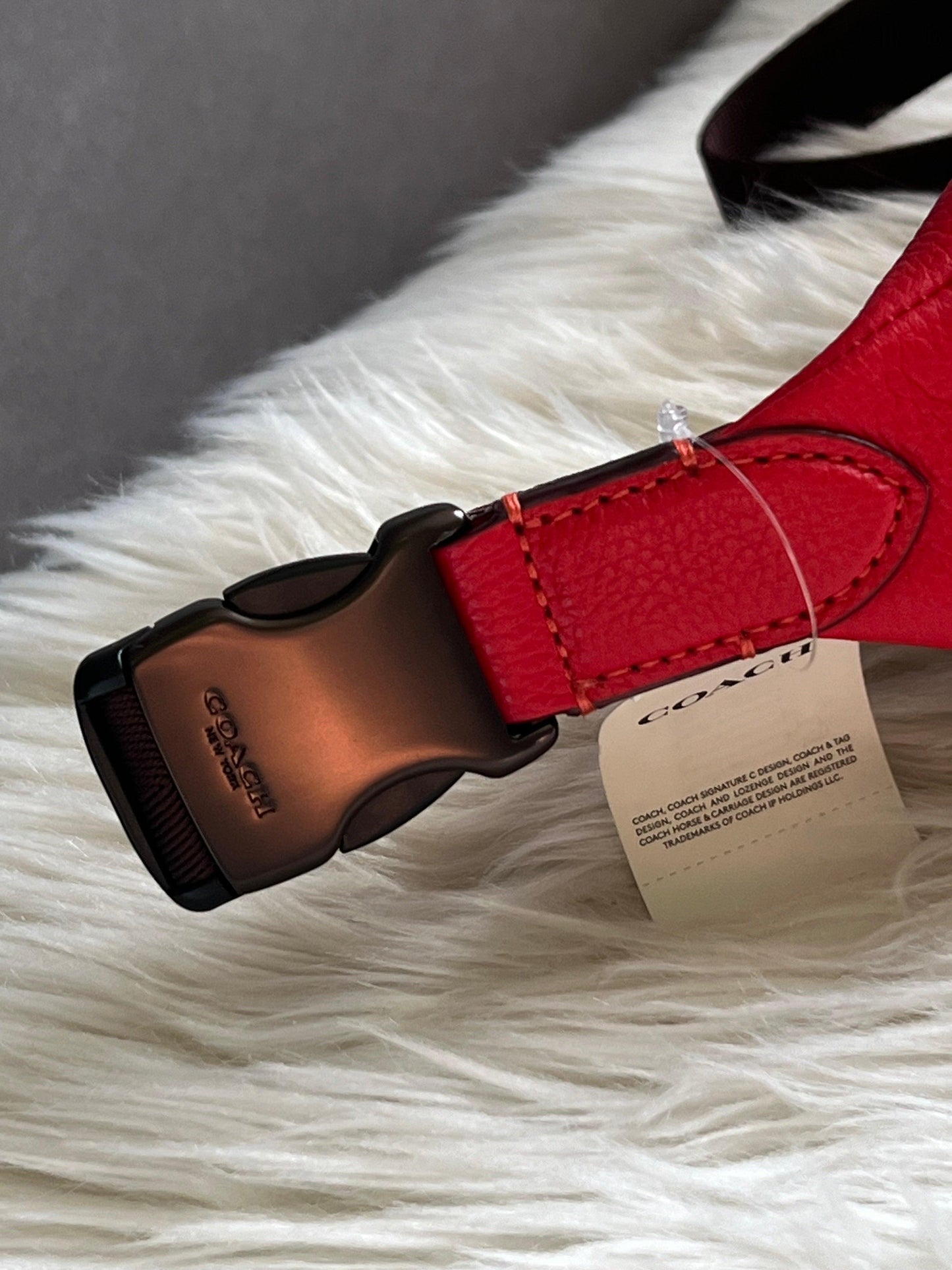 Coach Charter Belt Bag 7