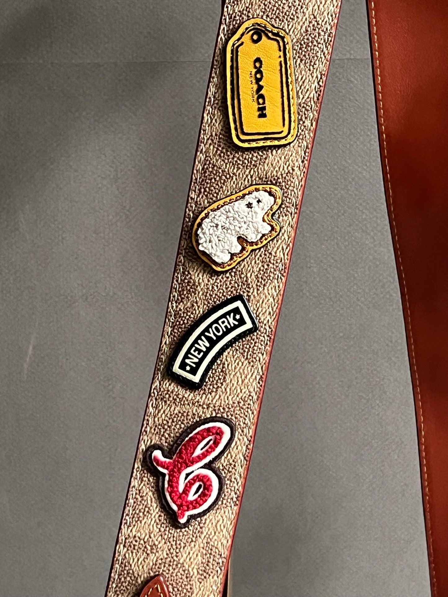 Coach Strap In Signature Canvas With Patches