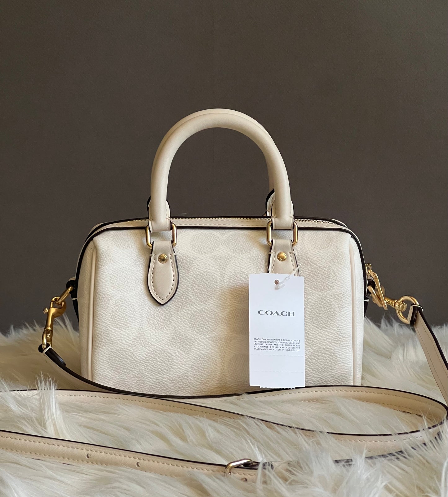 Coach Mini Rowan Crossbody Bag in Signature Canvas