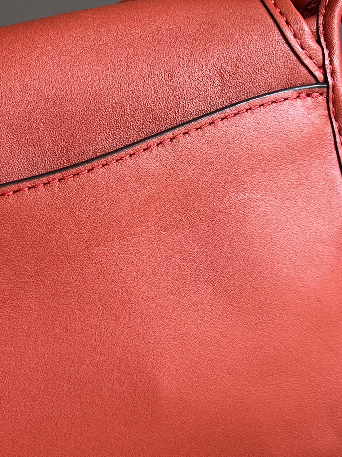 Coach Saddle 18