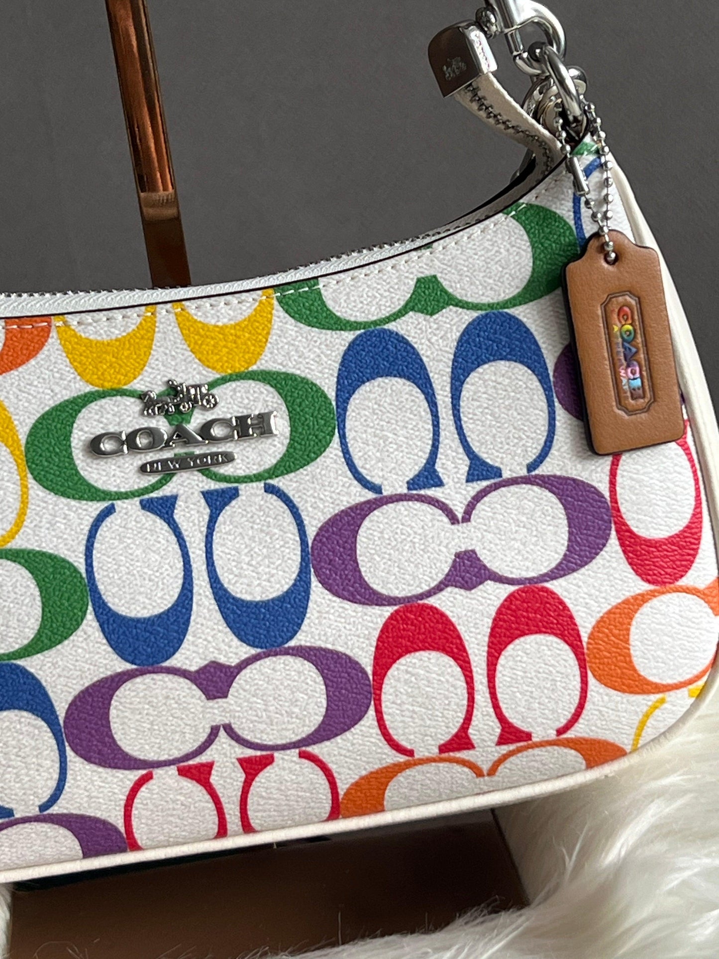 Coach Teri Shoulder Bag in Rainbow Signature Canvas