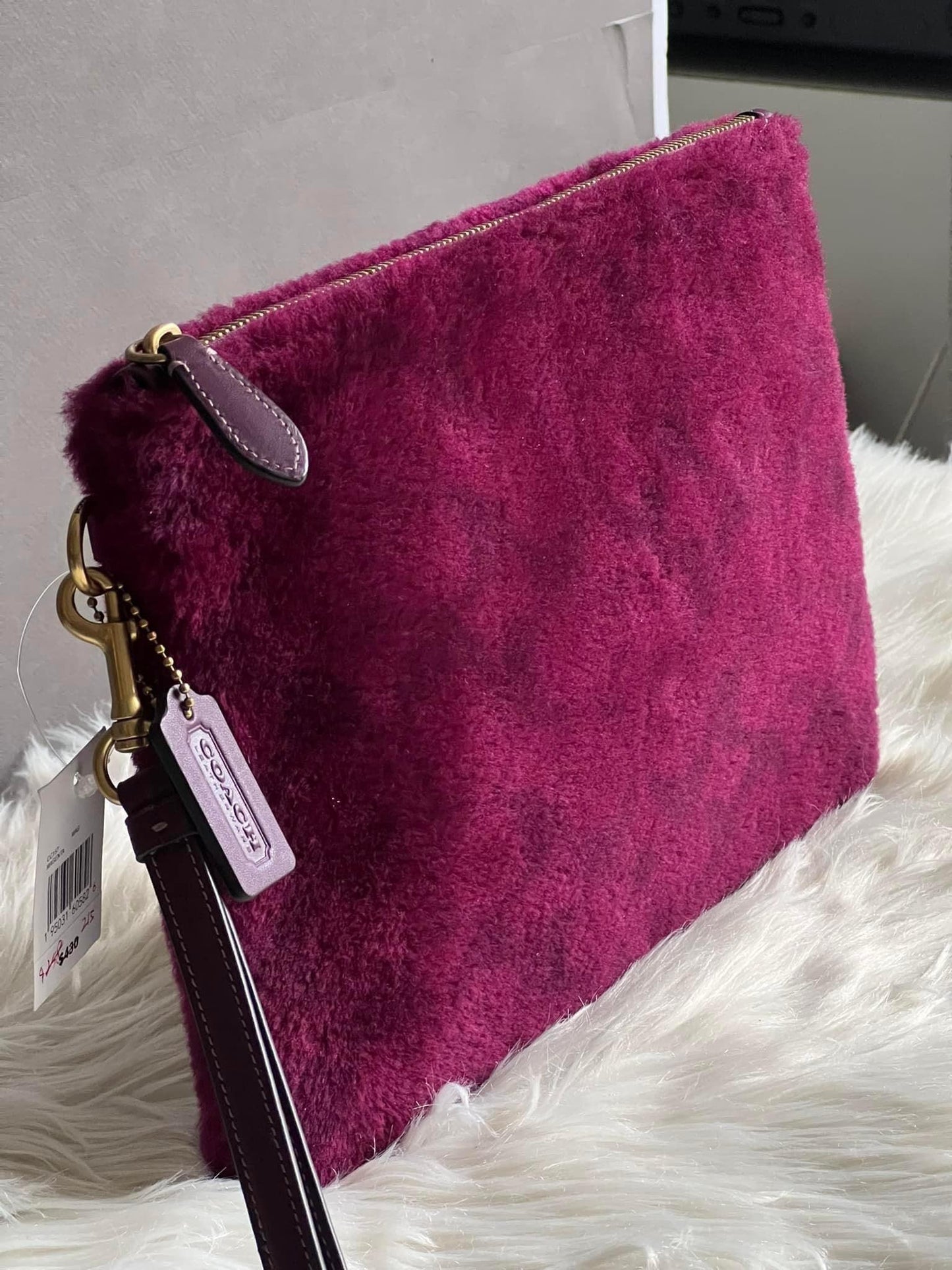 Coach Charter Pouch in Signature Shearling