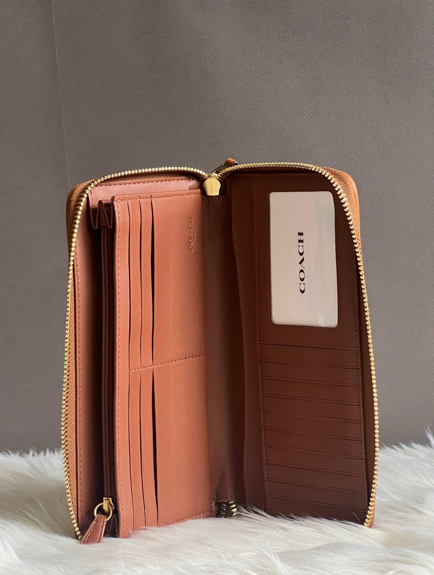 Coach Continental Wallet In Rainbow Signature Canvas